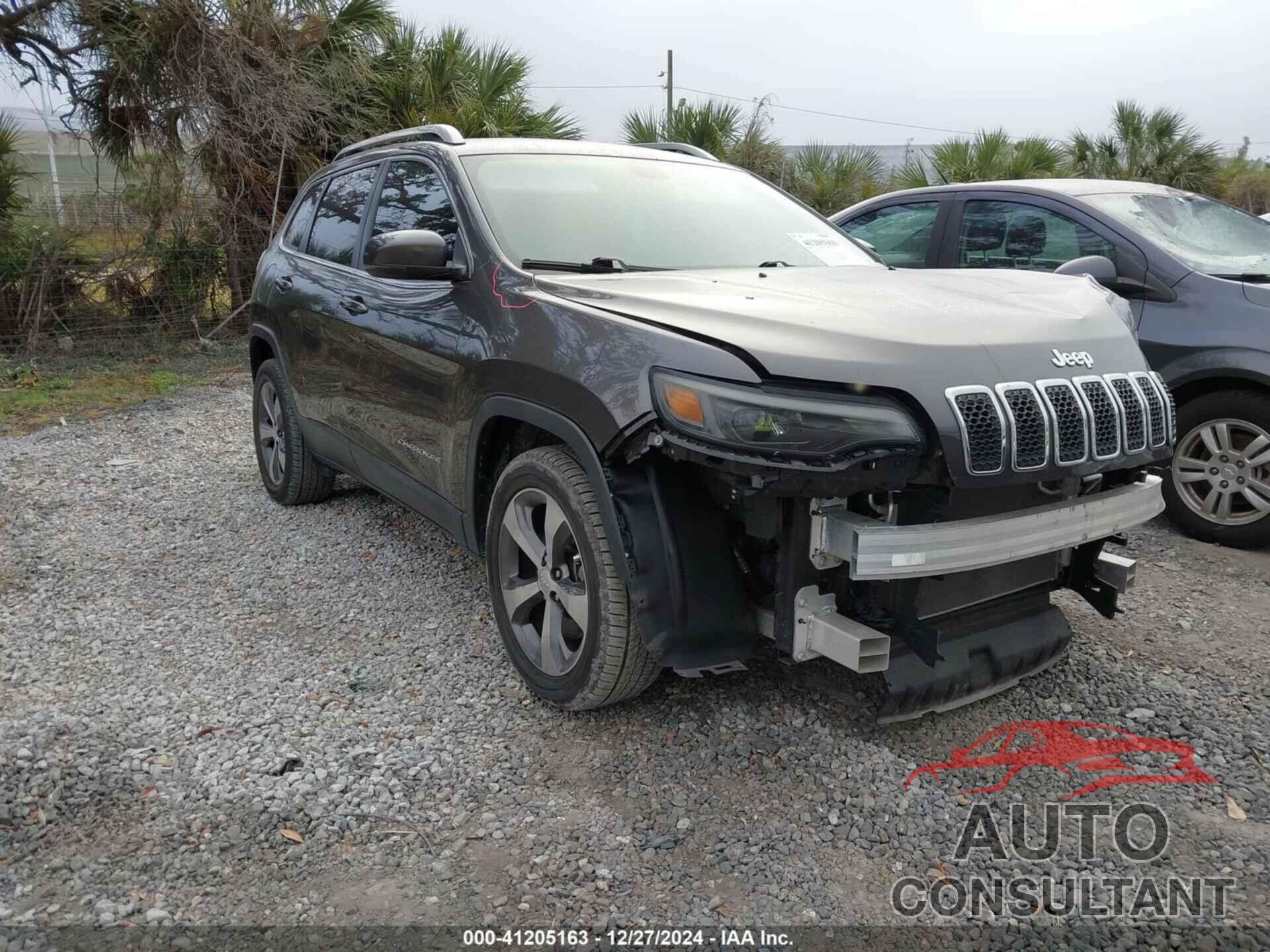 JEEP CHEROKEE 2019 - 1C4PJLDB1KD402839