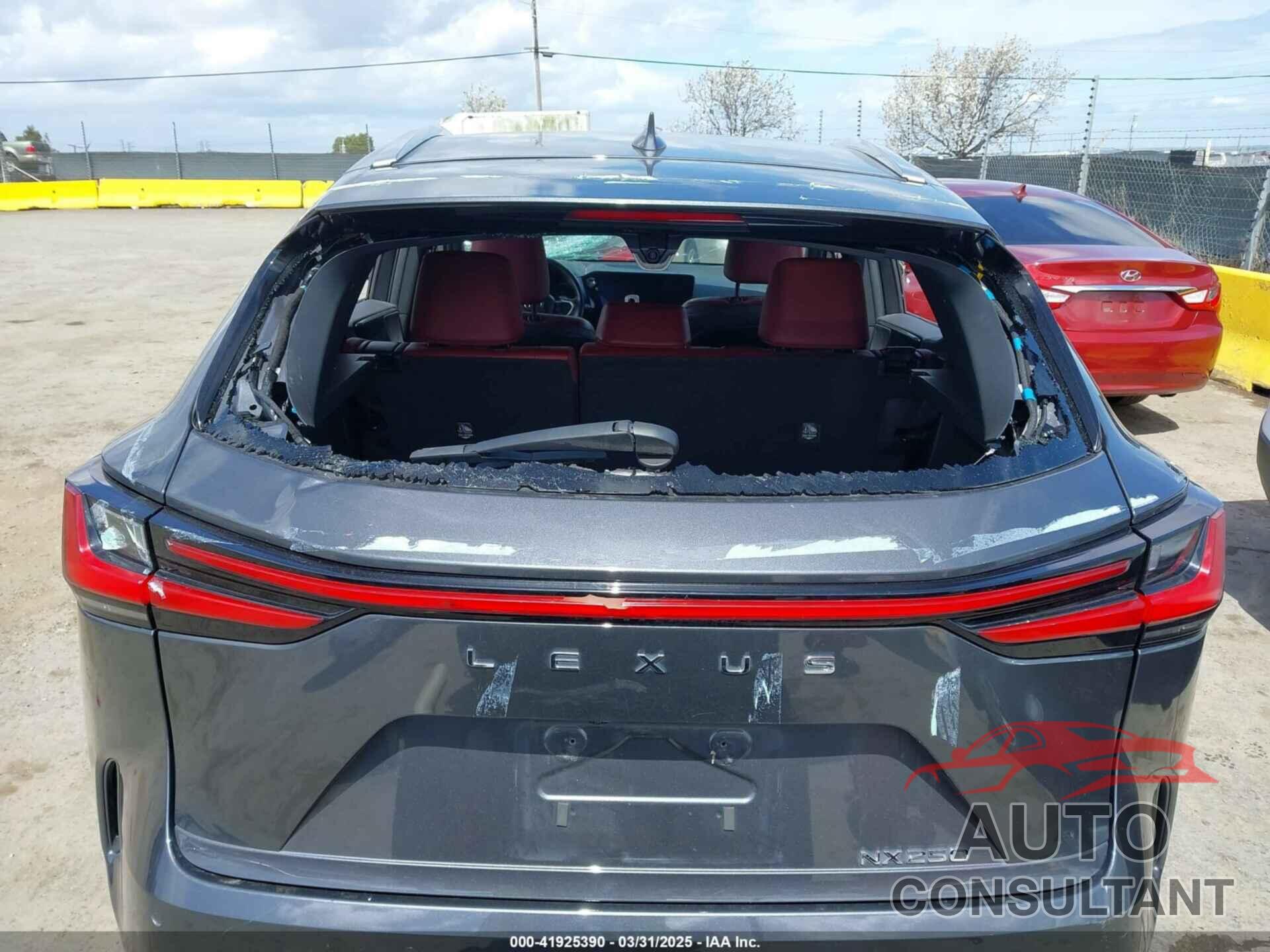 LEXUS NX 250 2024 - 2T2GDCAZ4RC006643