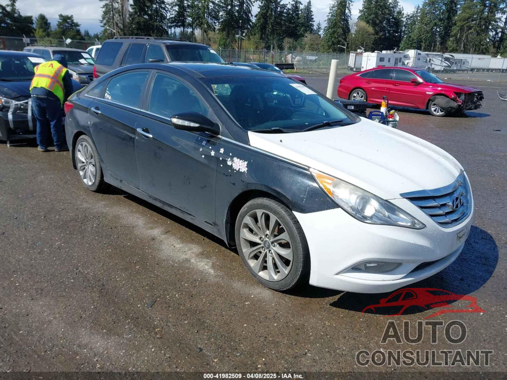 HYUNDAI SONATA 2013 - 5NPEC4AB2DH546182