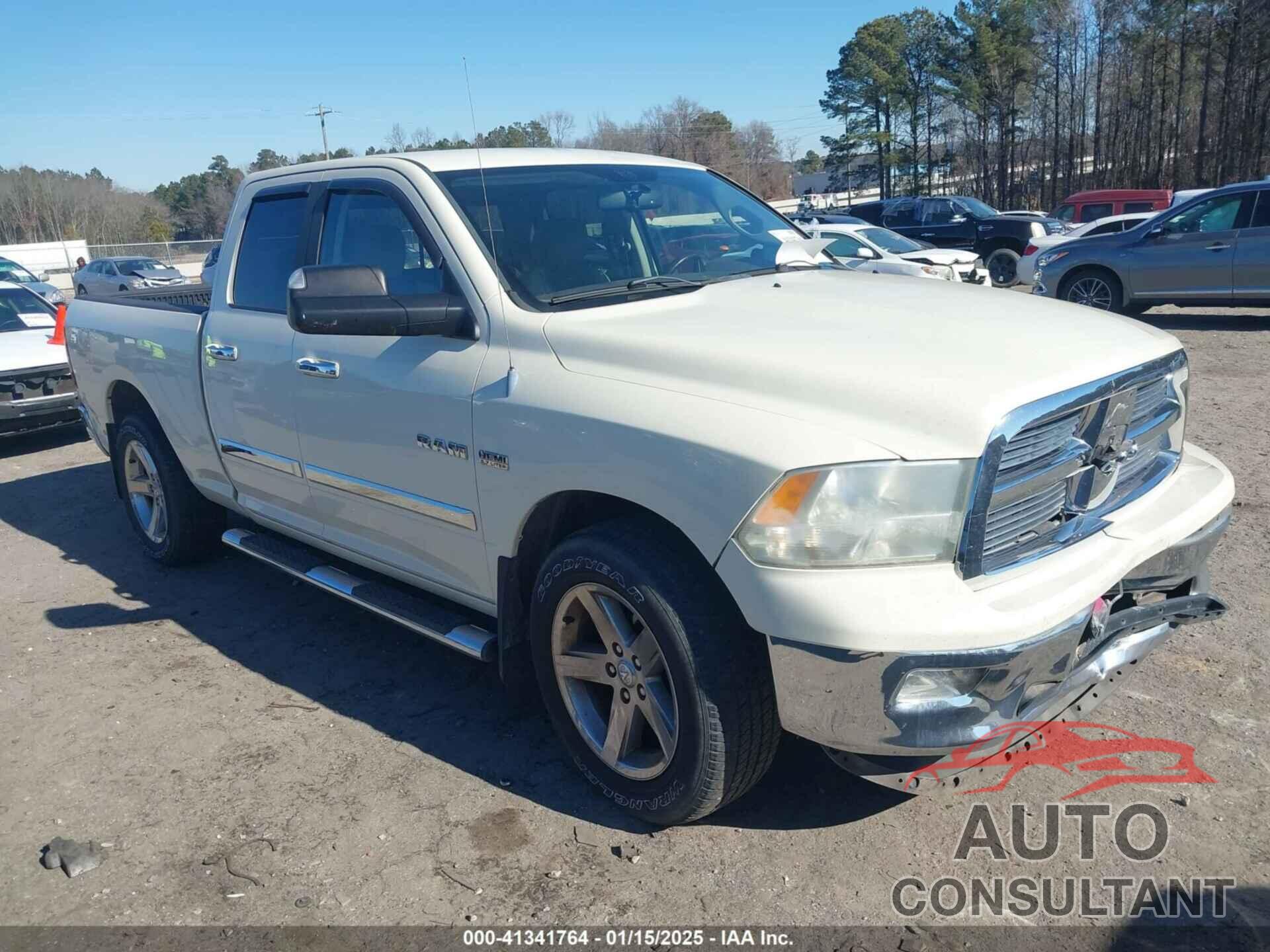 DODGE RAM 1500 2010 - 1D7RB1GT2AS225992