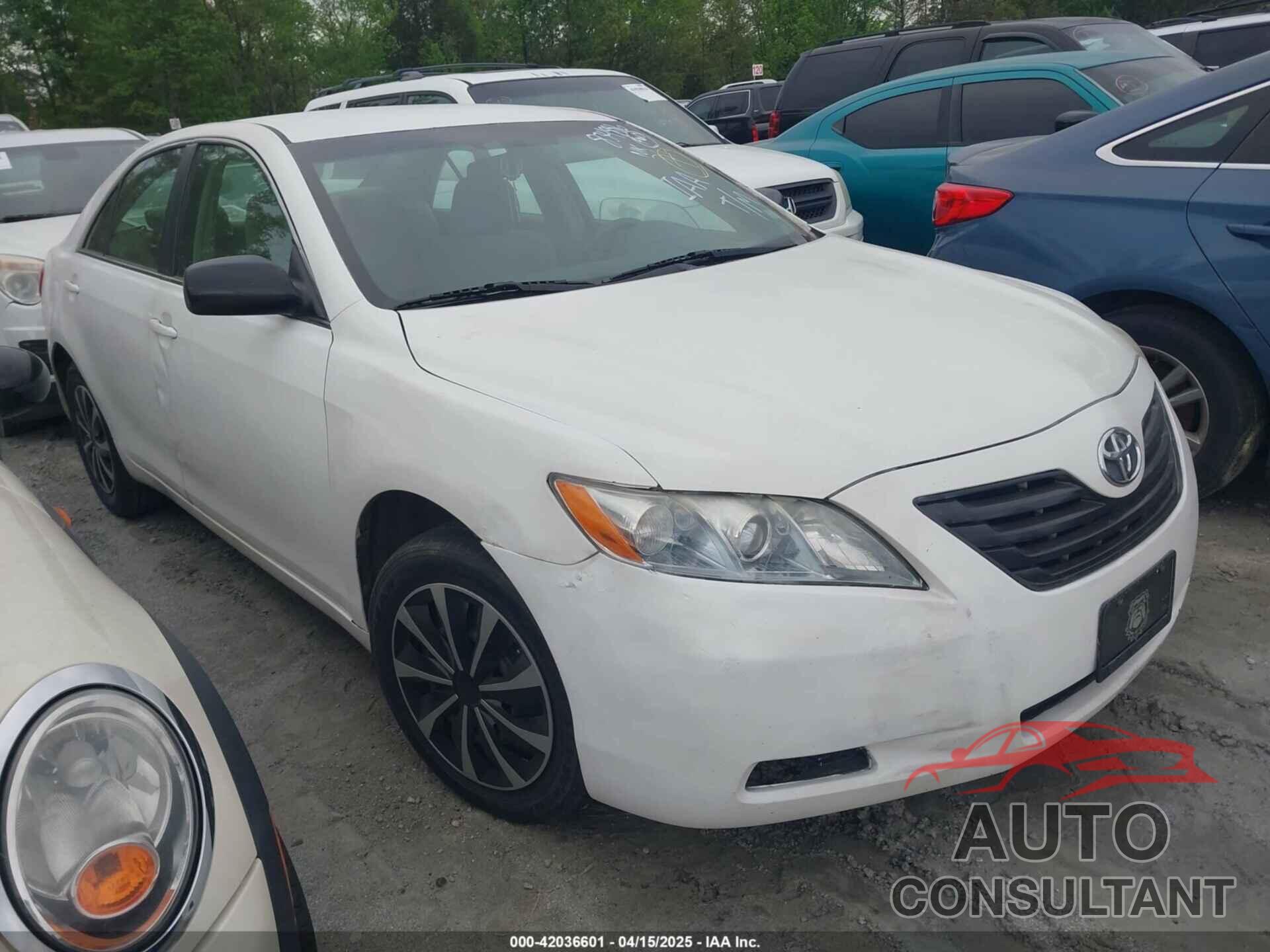 TOYOTA CAMRY 2009 - 4T1BE46K19U834886