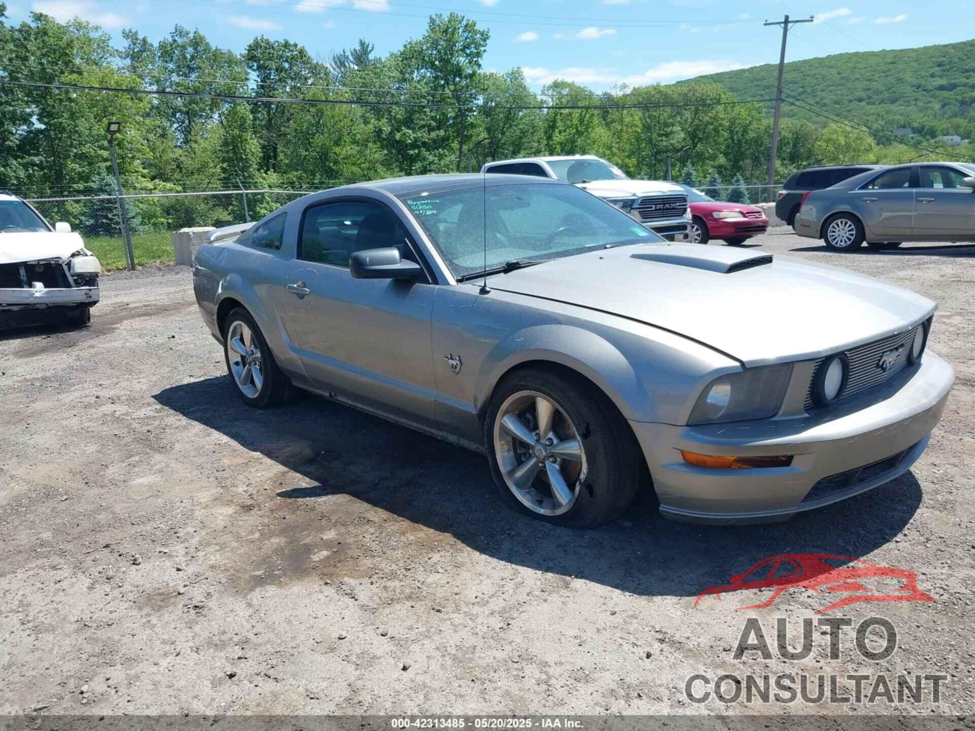 FORD MUSTANG 2009 - 1ZVHT82H295123520