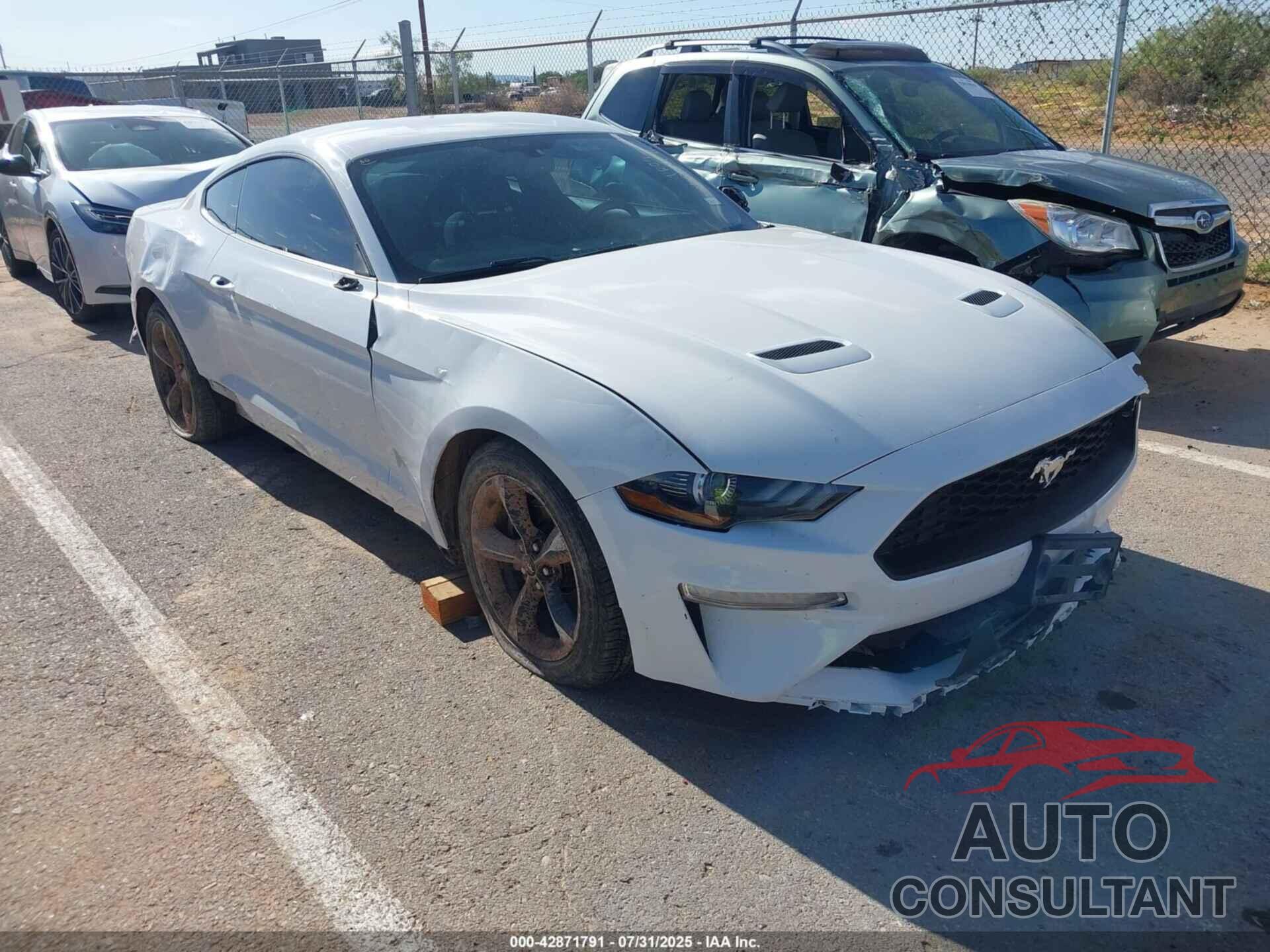 FORD MUSTANG 2019 - 1FA6P8TH3K5181127