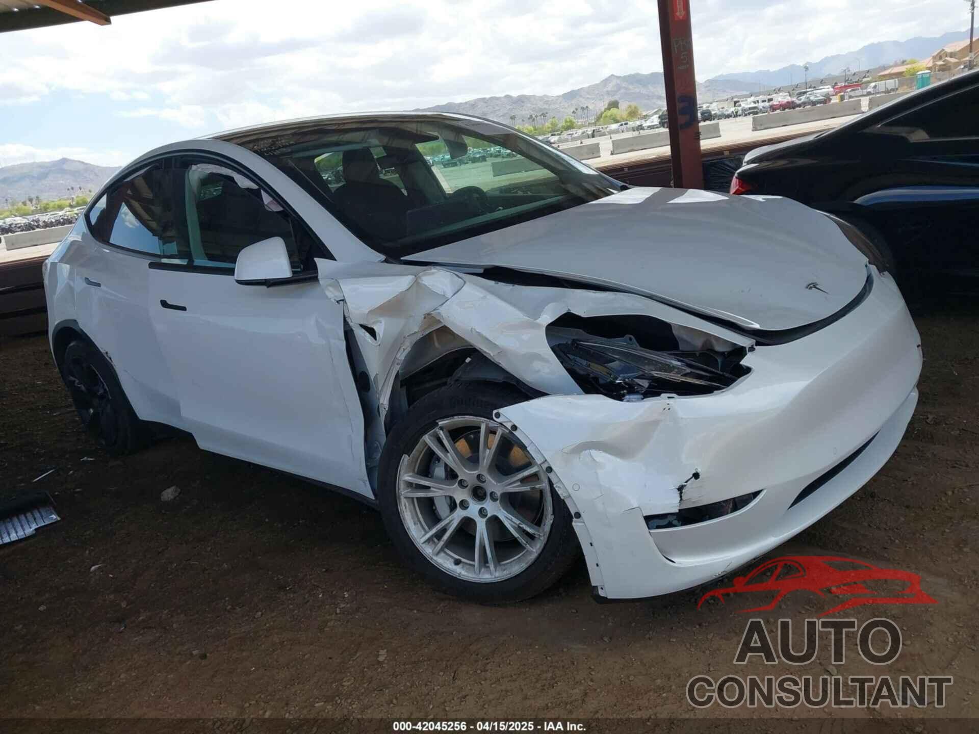 TESLA MODEL Y 2021 - 5YJYGAEE9MF254113