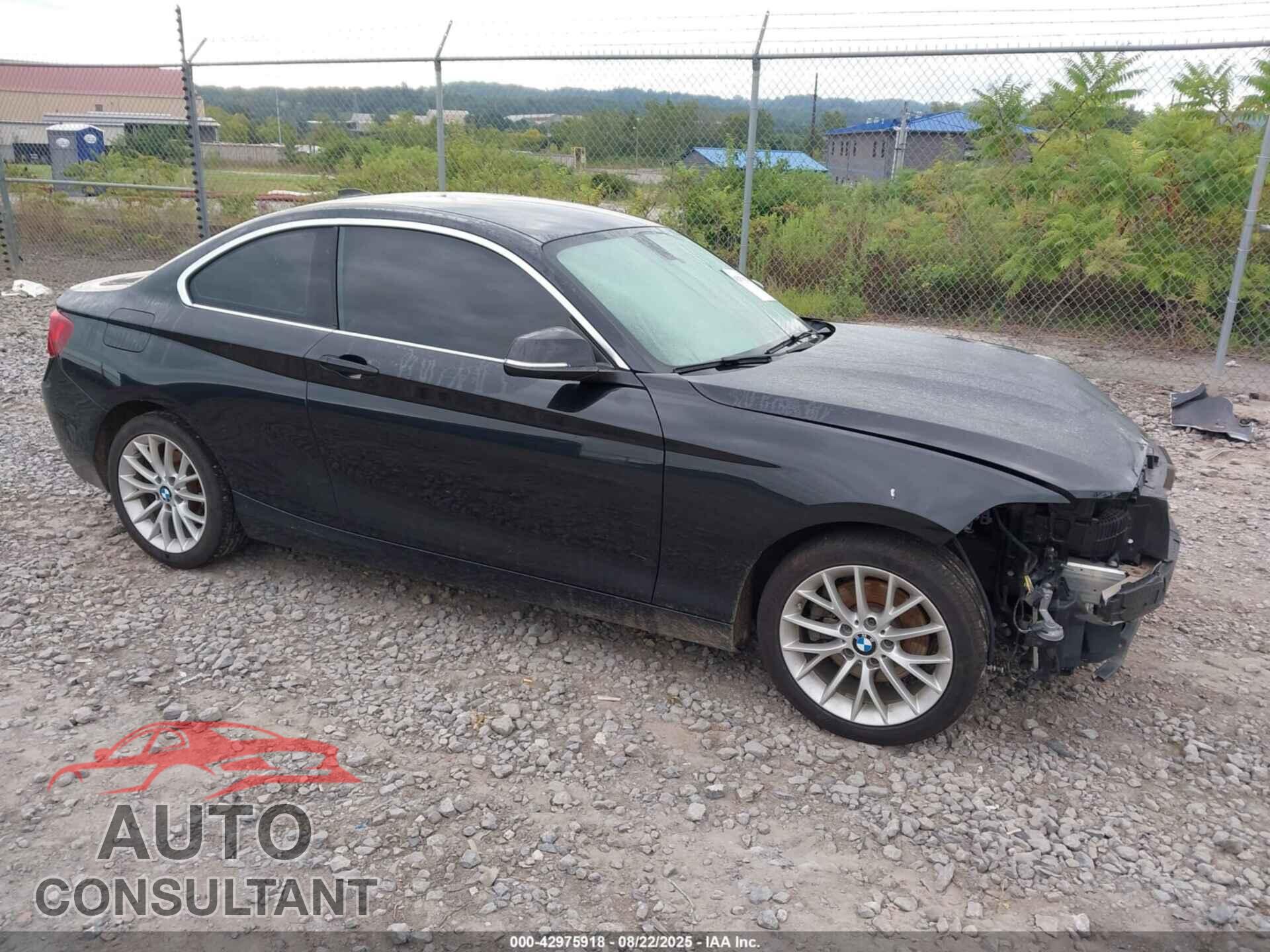 BMW 228I 2016 - WBA1G9C53GV726781
