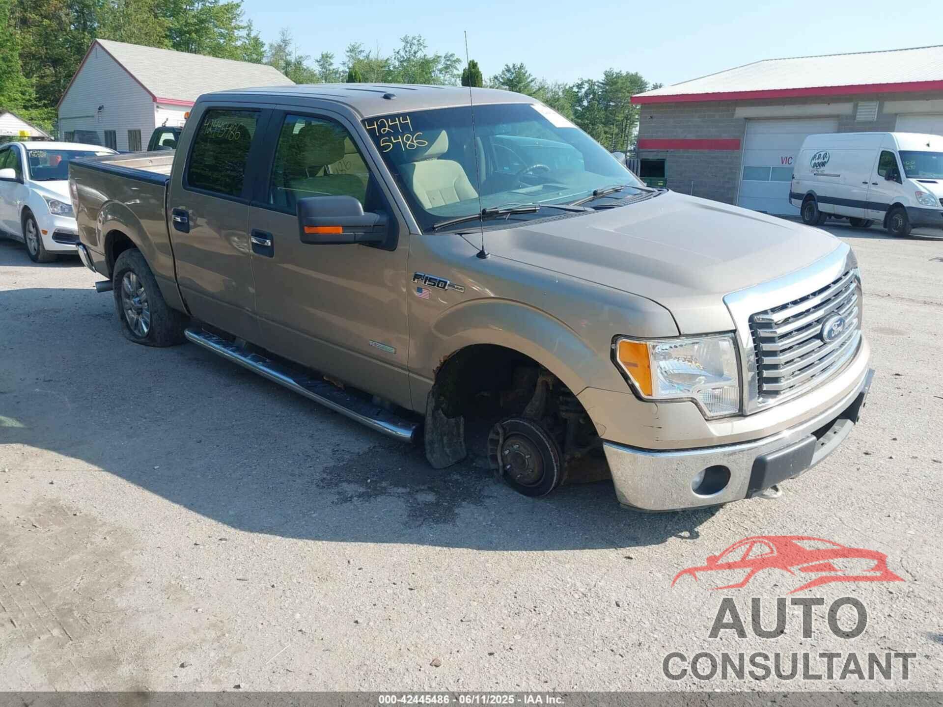 FORD F-150 2011 - 1FTFW1ET8BFB87442