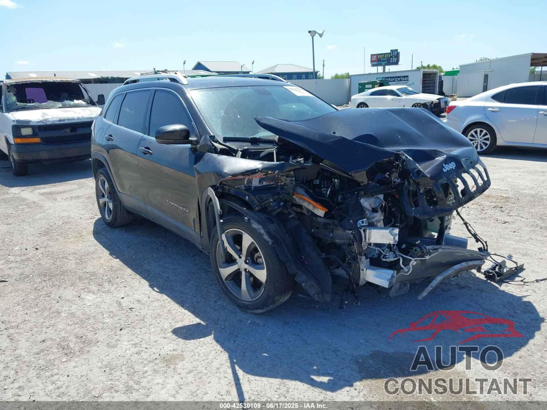 JEEP CHEROKEE 2019 - 1C4PJLDB8KD433618