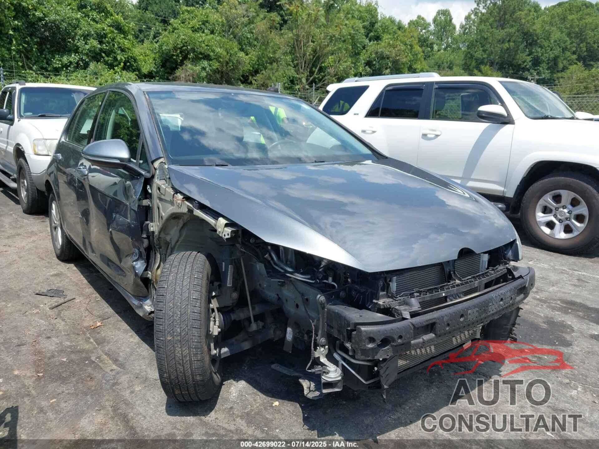 VOLKSWAGEN GOLF 2015 - 3VW217AU0FM011843
