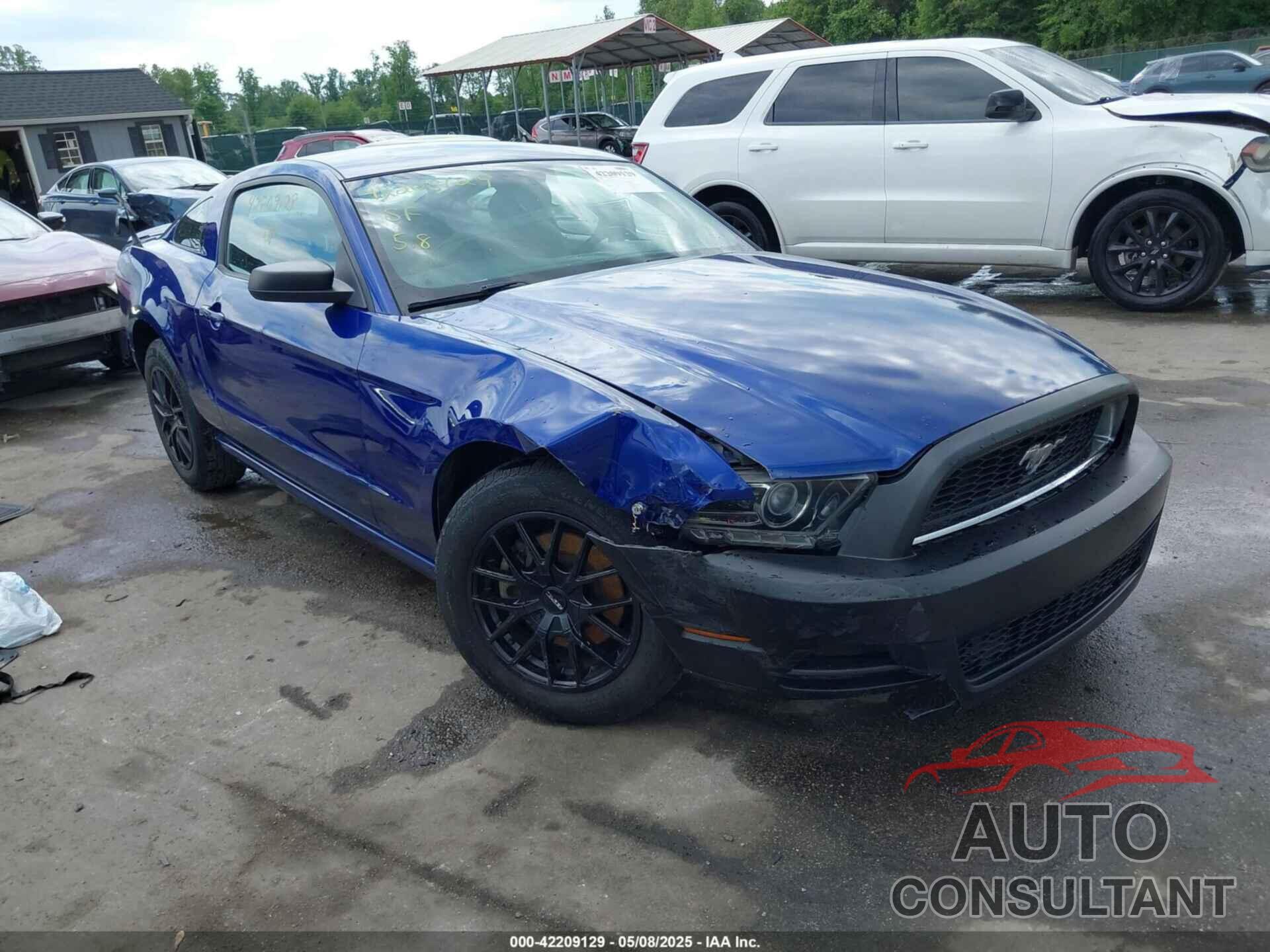 FORD MUSTANG 2013 - 1ZVBP8AM7D5228491