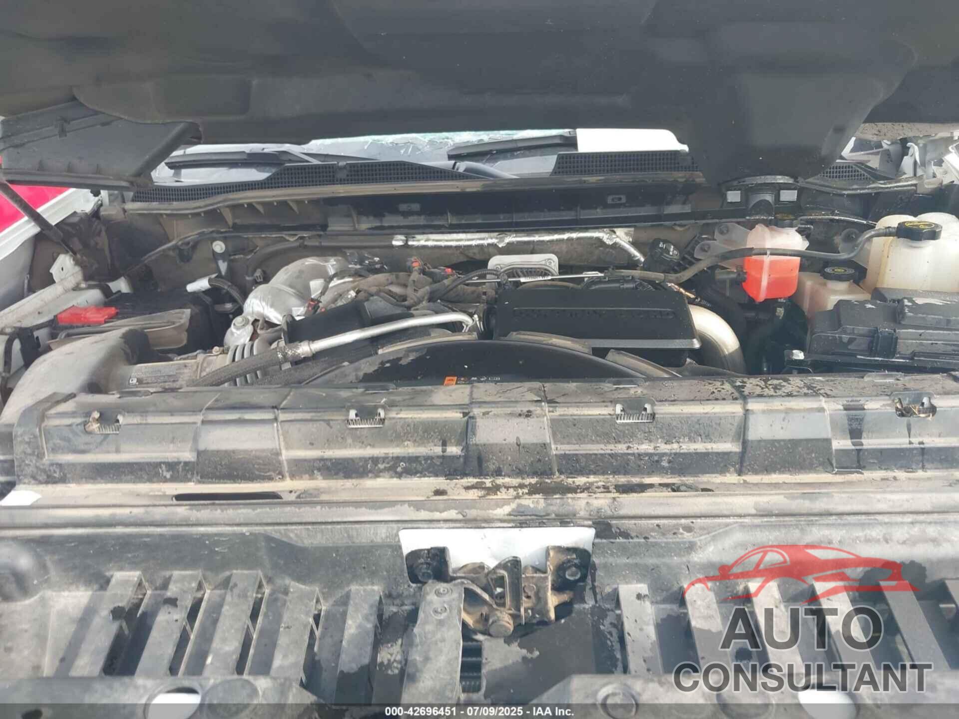 CHEVROLET SILVERADO 2024 - 2GC4YNEY3R1230137