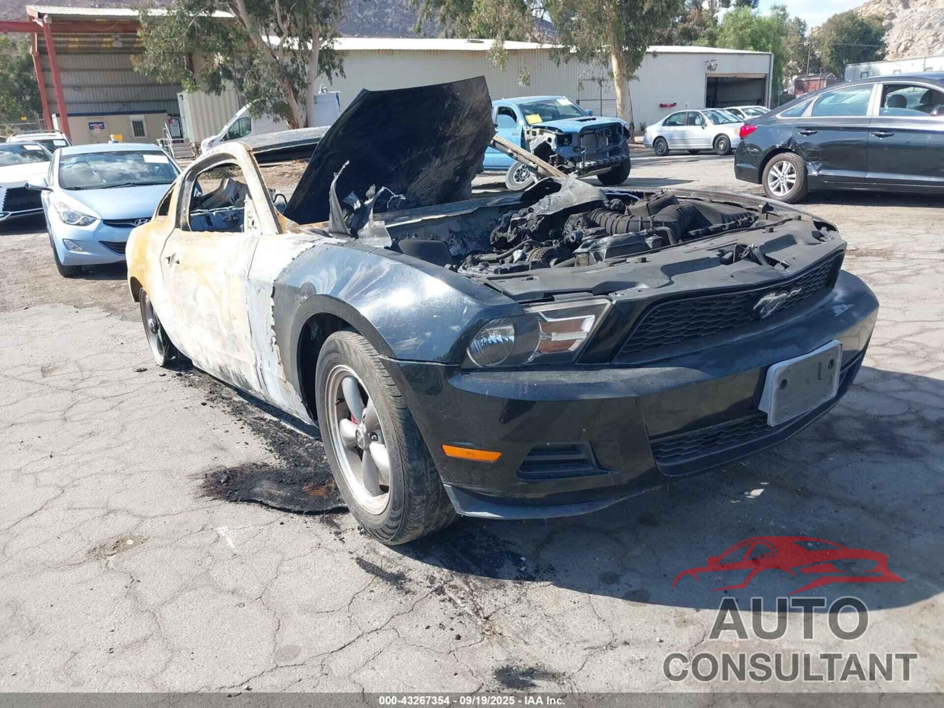 FORD MUSTANG 2010 - 1ZVBP8AN7A5101020