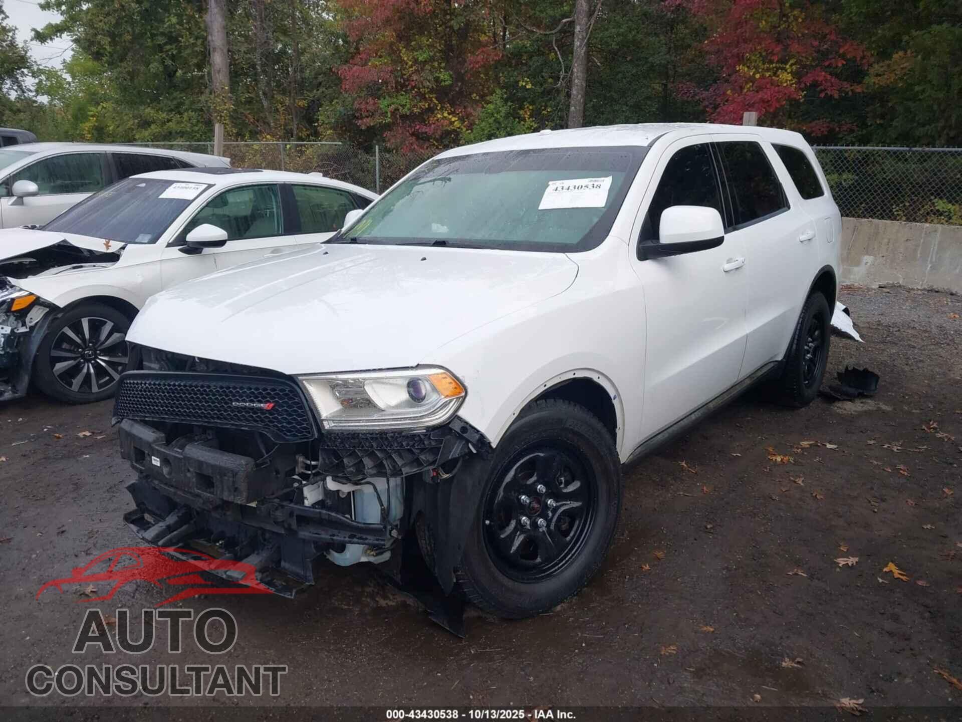 DODGE DURANGO 2019 - 1C4SDJFT1KC631975