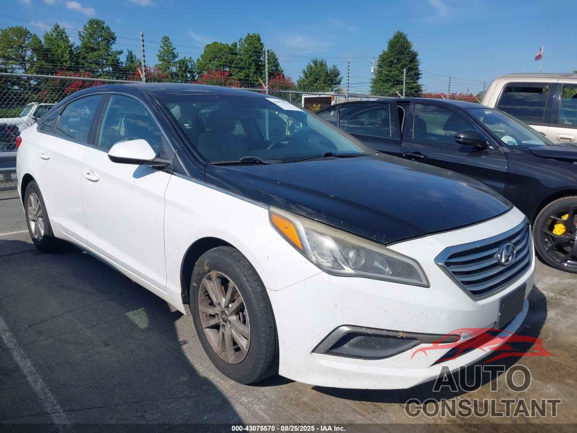 HYUNDAI SONATA 2016 - 5NPE24AF1GH264979