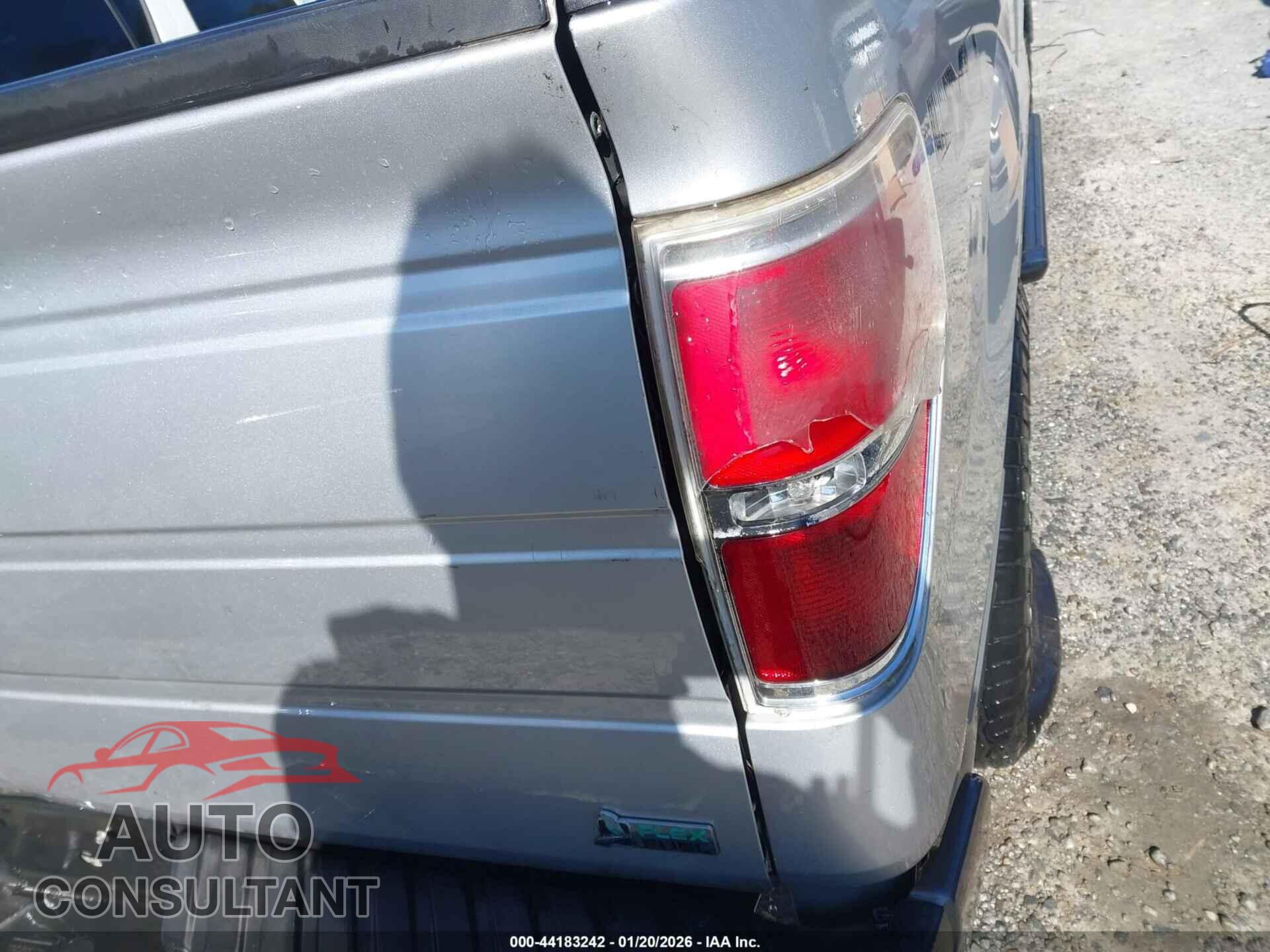 FORD F-150 2010 - 1FTFX1EVXAFA60365