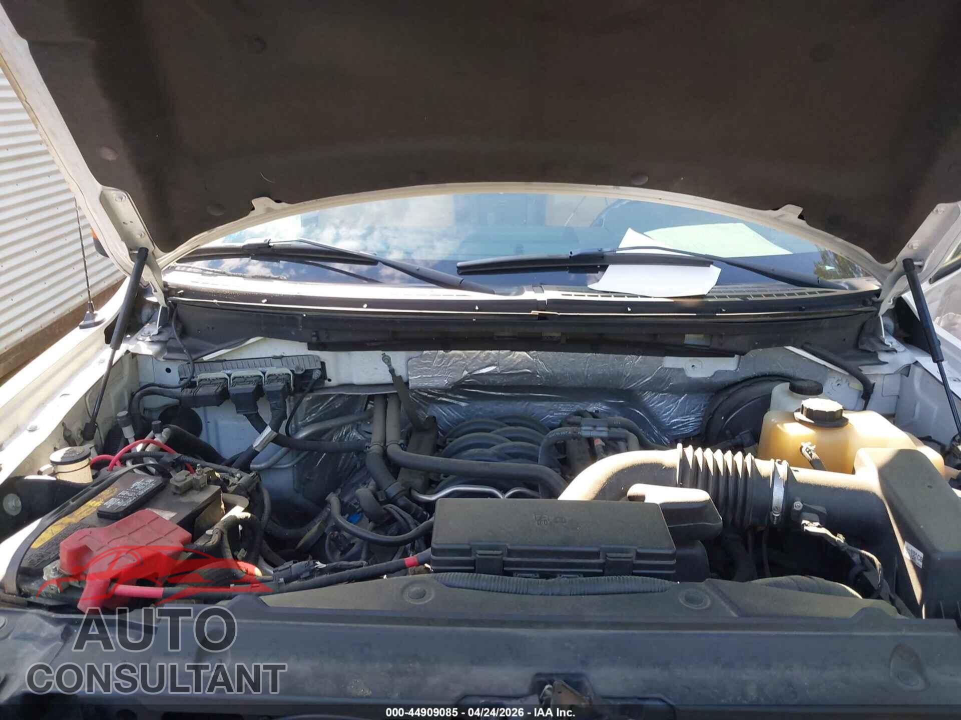 FORD F-150 2013 - 1FTFX1CF4DFA65738