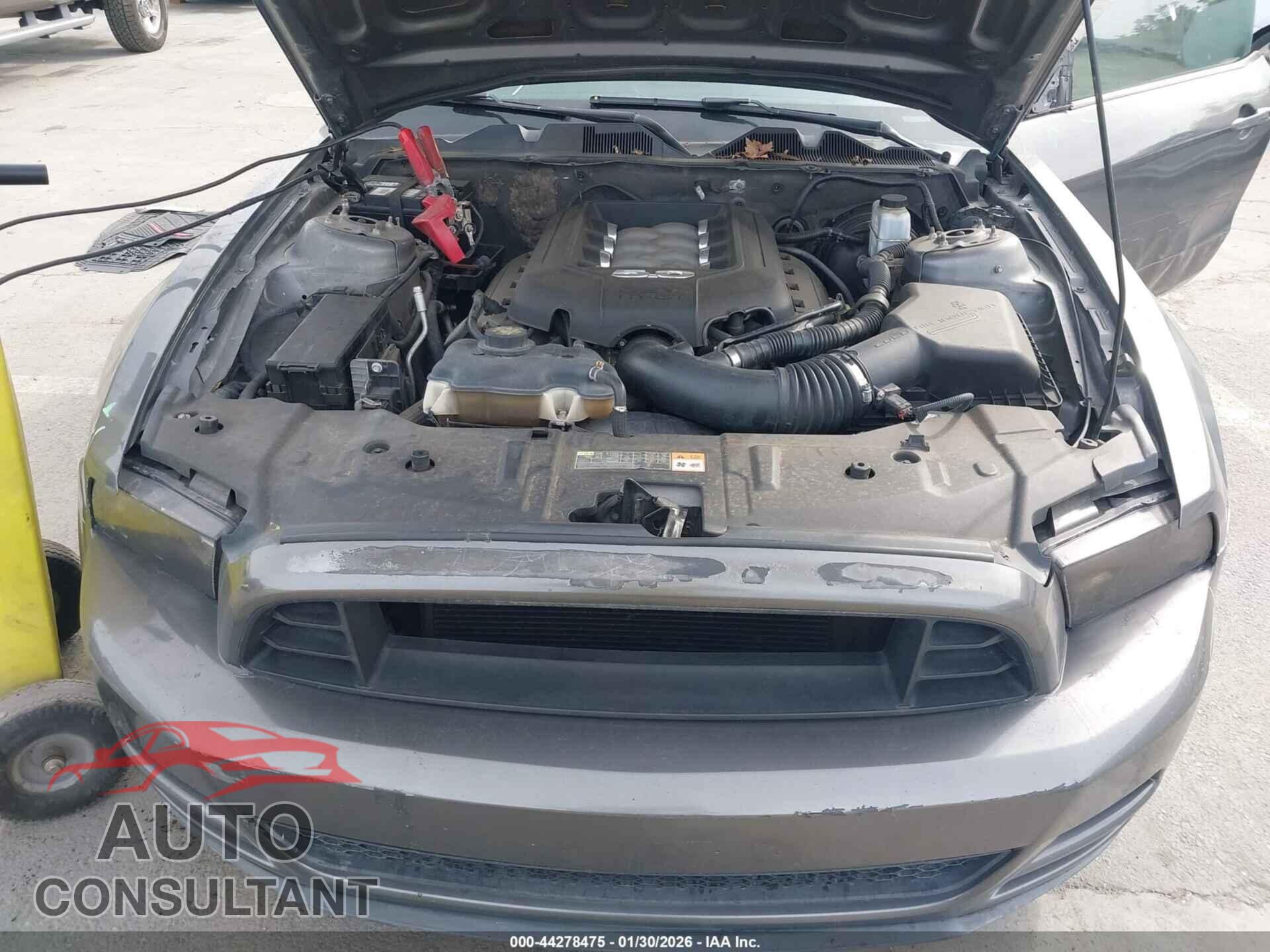 FORD MUSTANG 2011 - 1ZVBP8CF9B5165633
