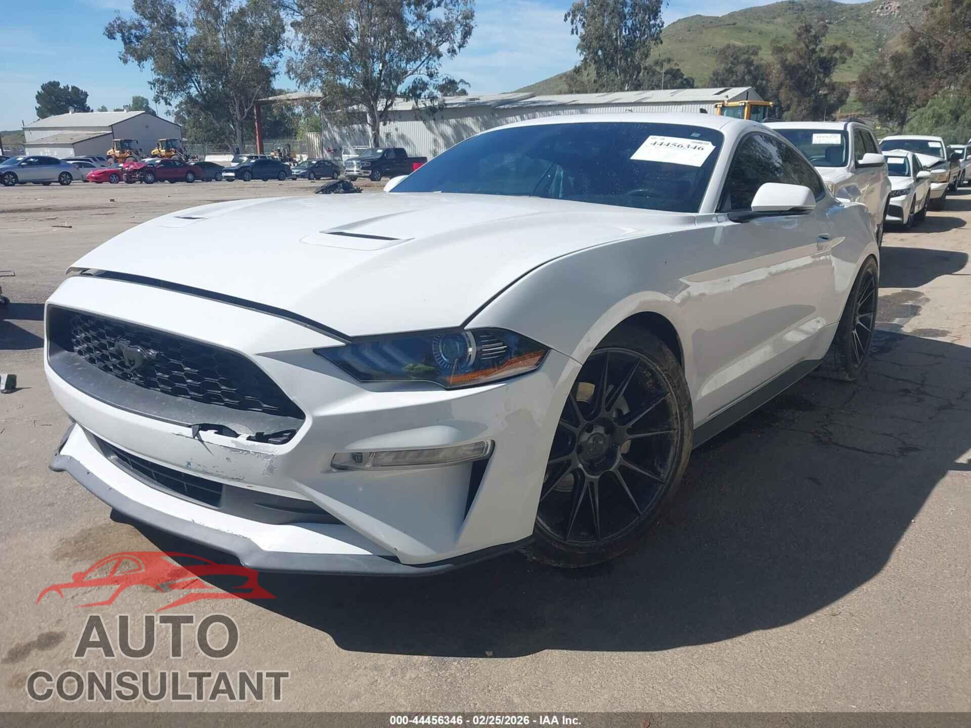 FORD MUSTANG 2019 - 1FA6P8TH9K5186431