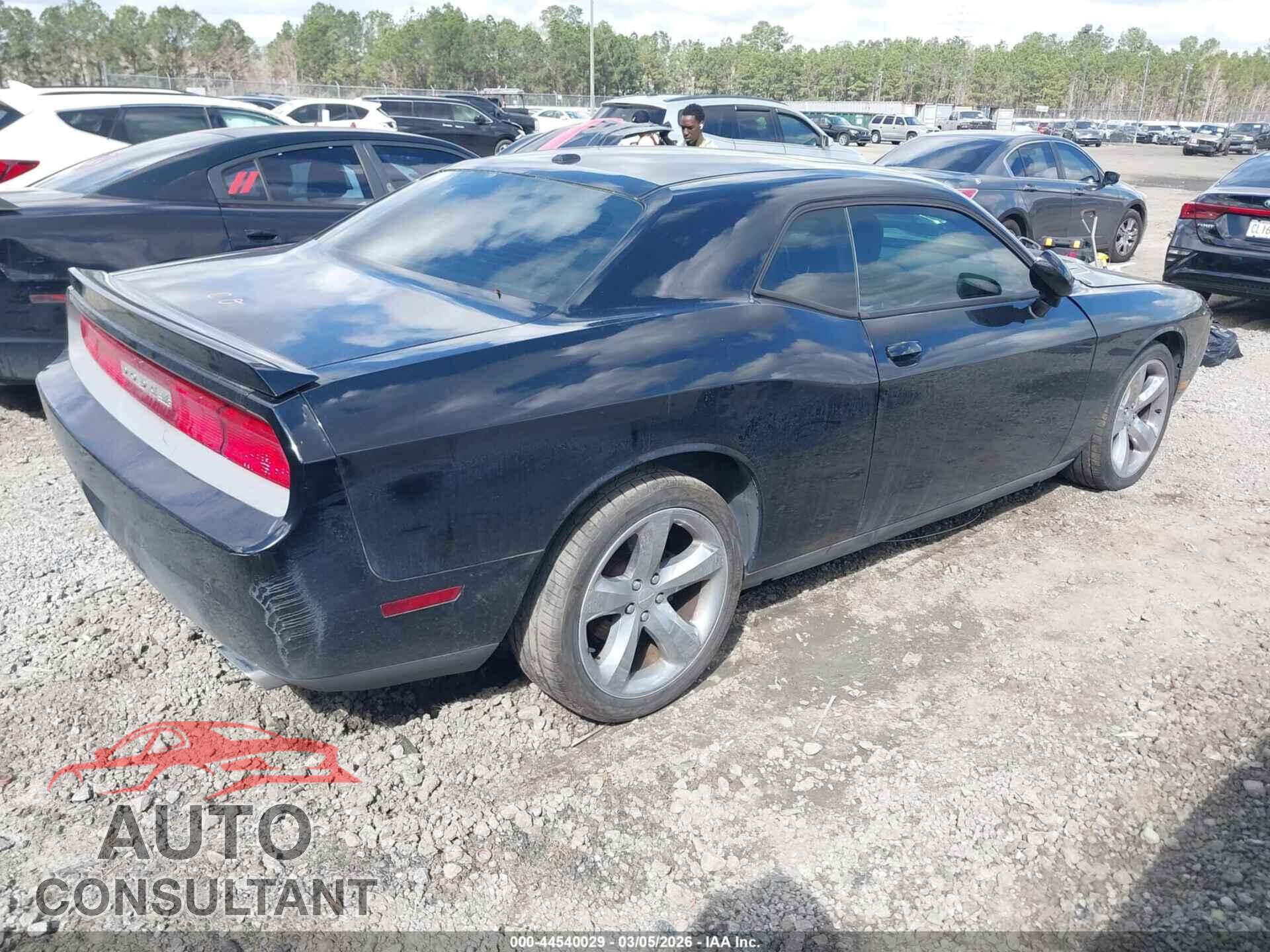 DODGE CHALLENGER 2013 - 2C3CDYBTXDH570147