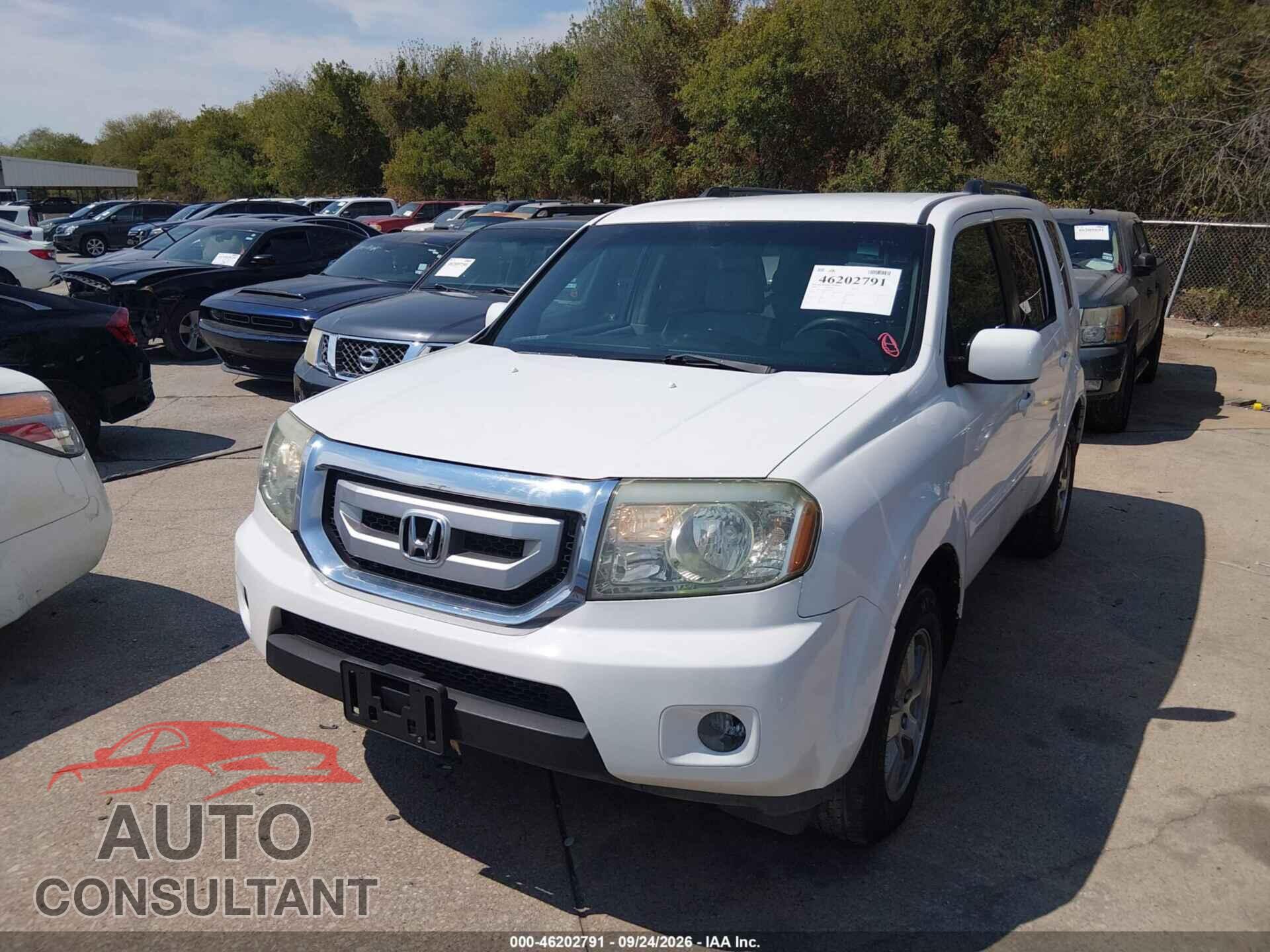 HONDA PILOT 2009 - 5FNYF384X9B015517