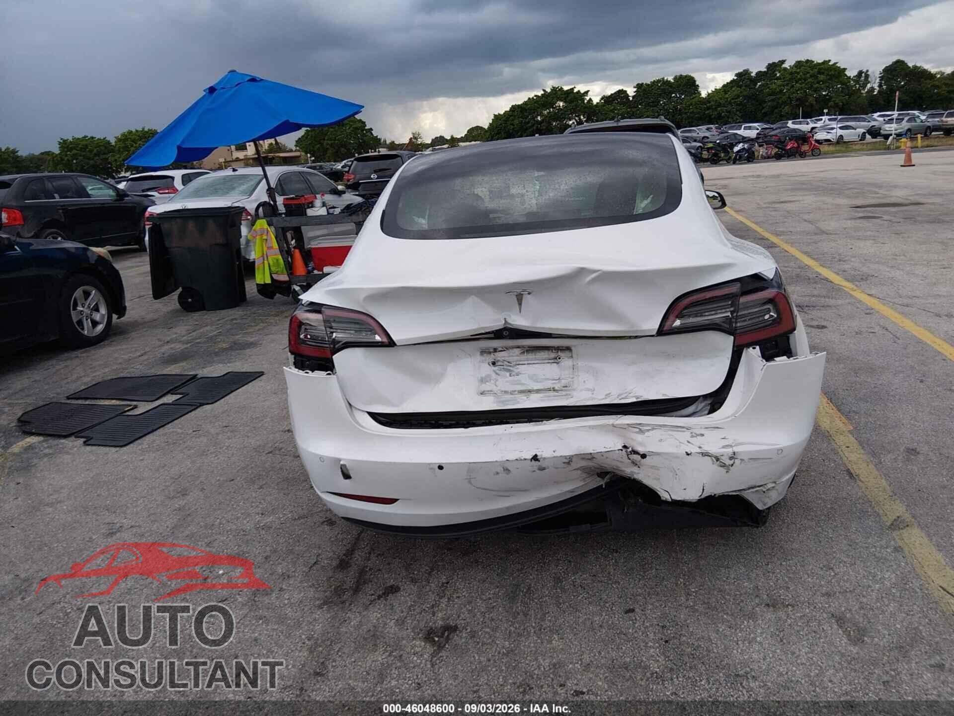 TESLA MODEL 3 2021 - 5YJ3E1EA7MF852116