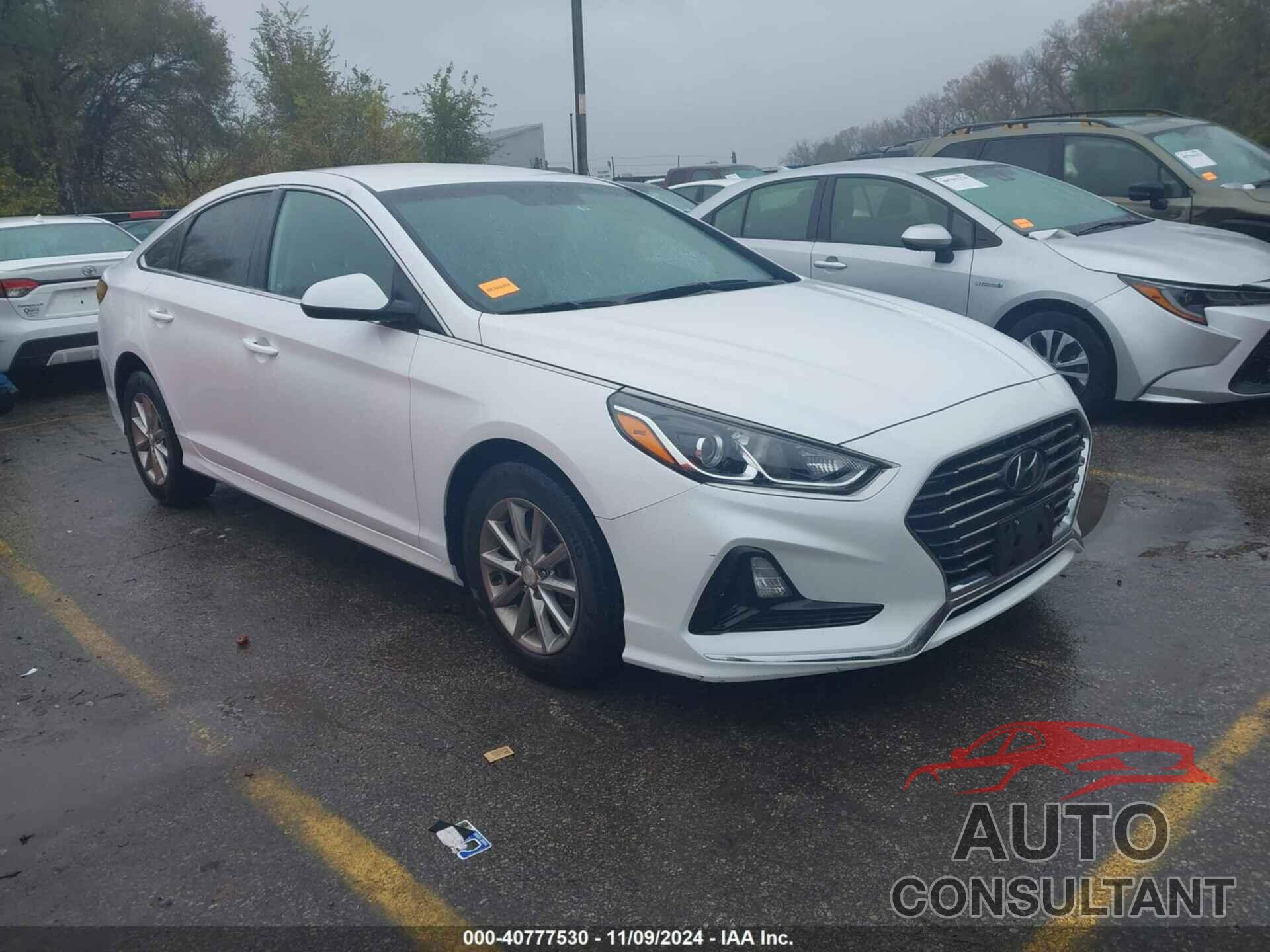 HYUNDAI SONATA 2019 - 5NPE24AFXKH741756