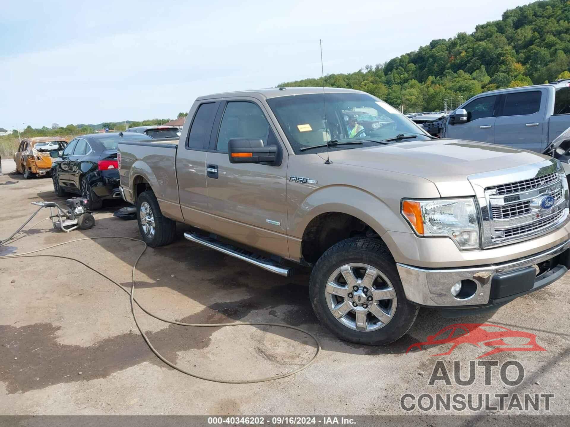 FORD F-150 2013 - 1FTFX1CTXDFD46920