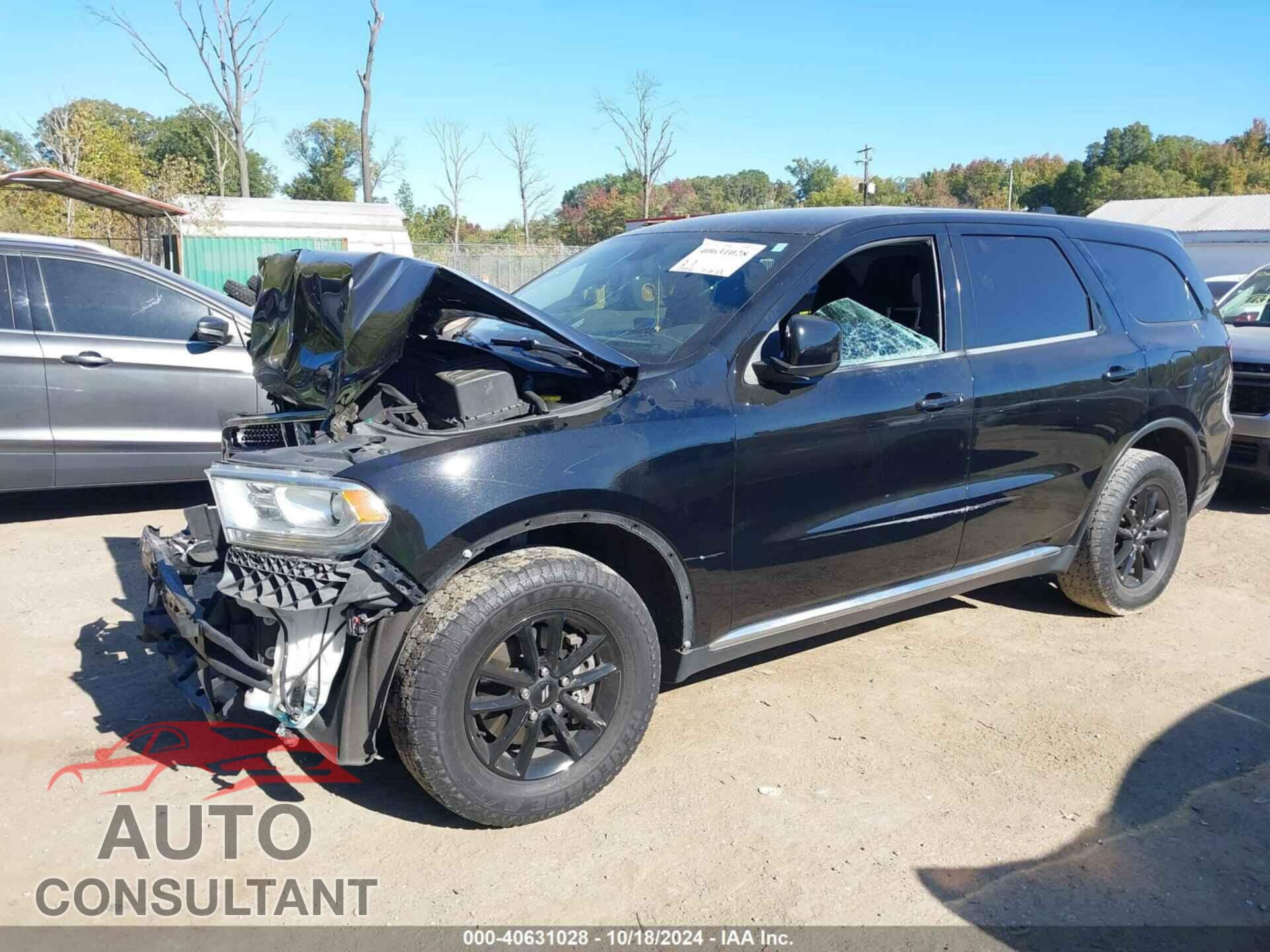 DODGE DURANGO 2019 - 1C4RDJAG5KC617294