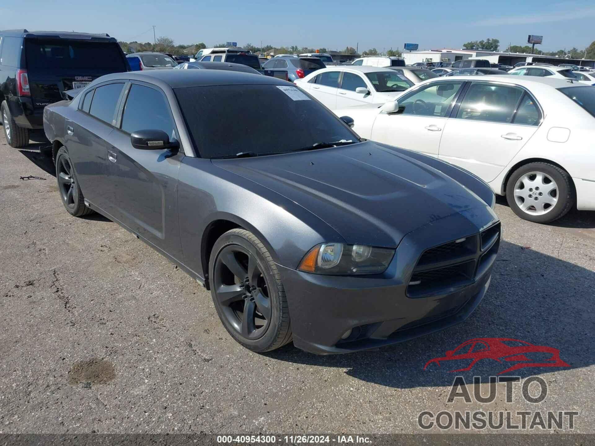 DODGE CHARGER 2014 - 2C3CDXHG2EH263559