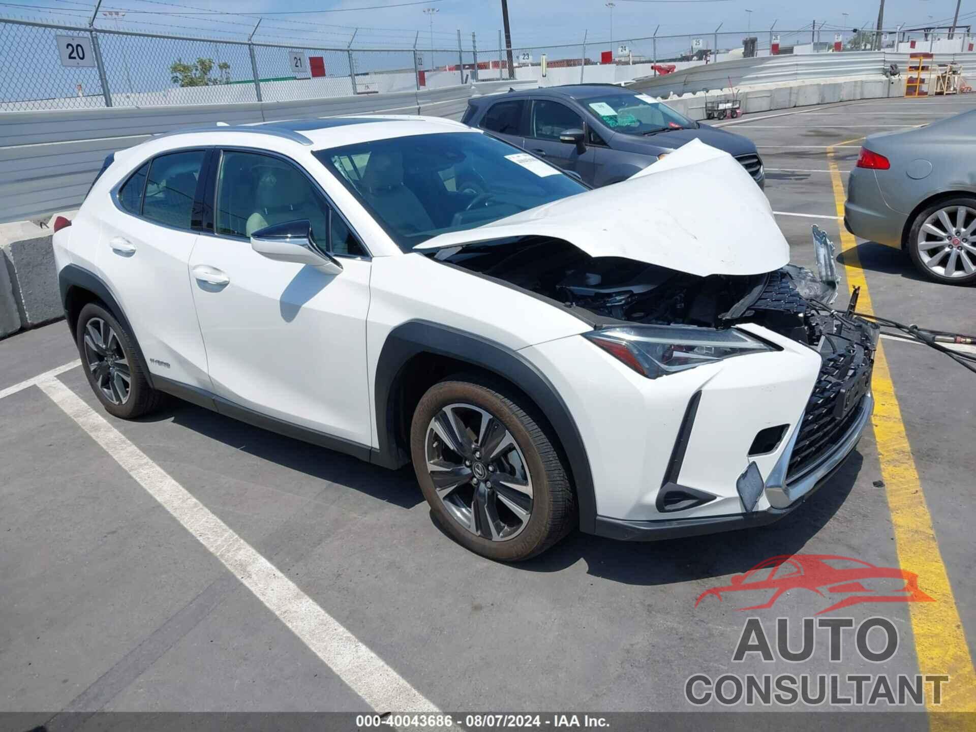 LEXUS UX 250H 2019 - JTHU9JBH5K2013204