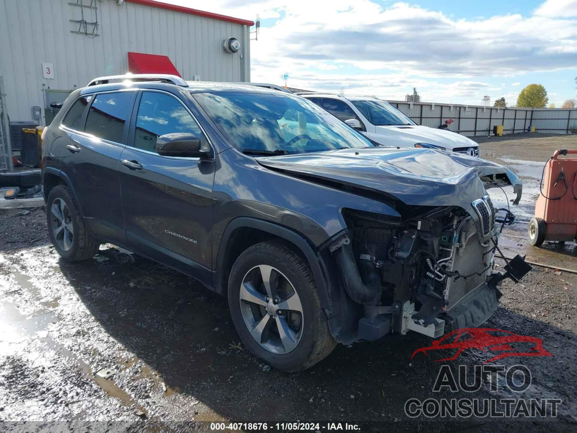JEEP CHEROKEE 2019 - 1C4PJMDX5KD218585
