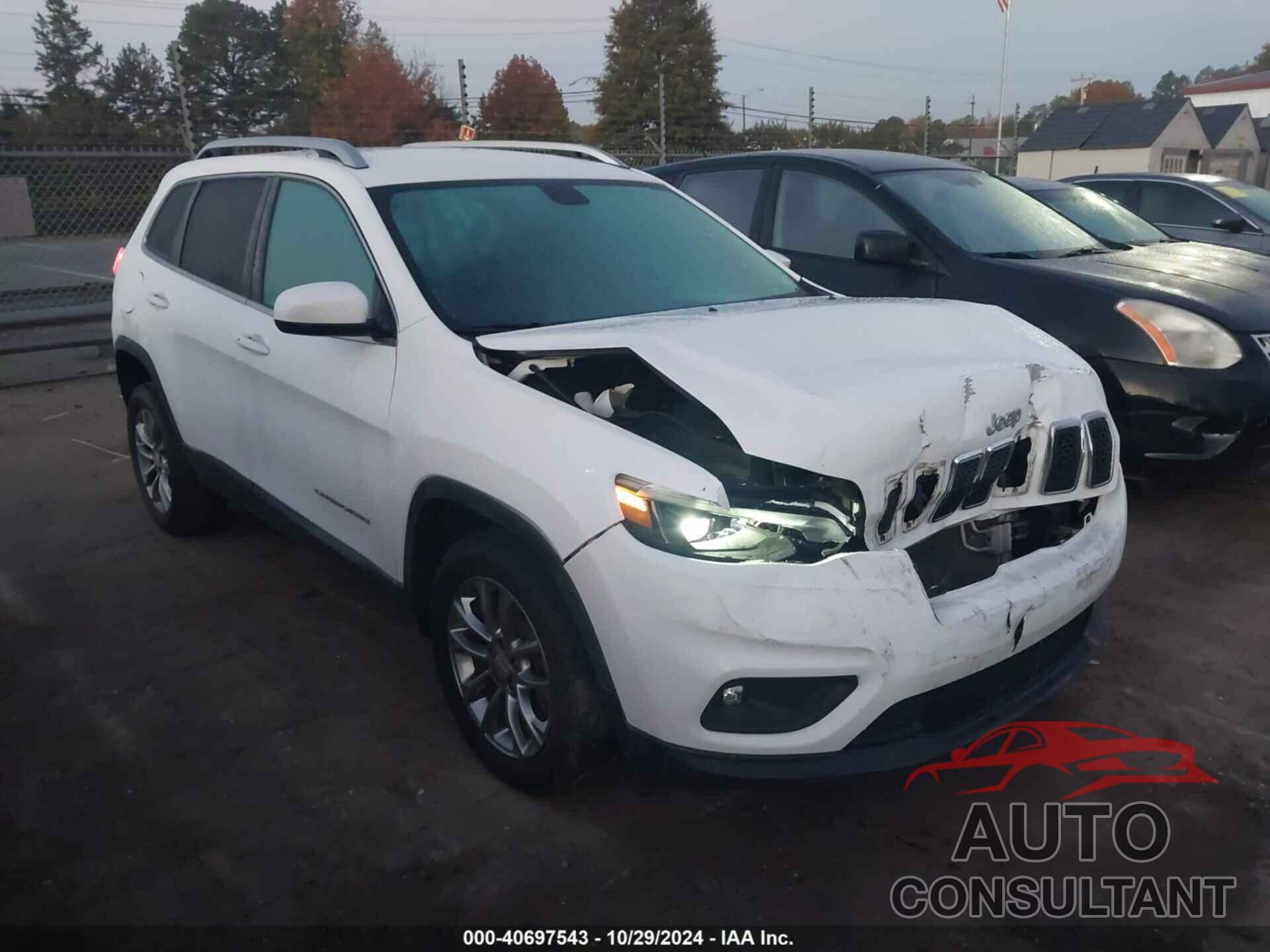 JEEP CHEROKEE 2019 - 1C4PJLLB7KD110209