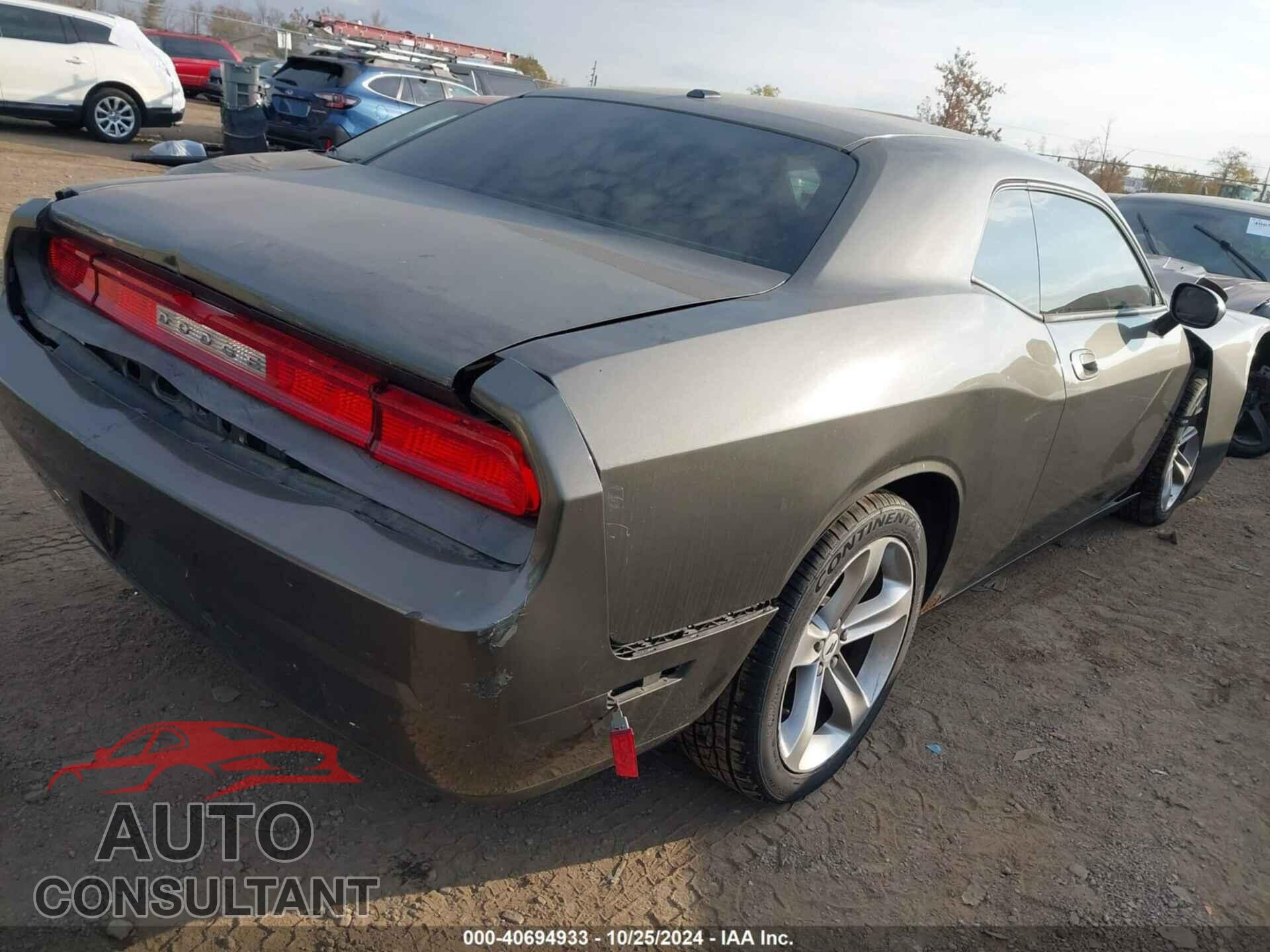 DODGE CHALLENGER 2010 - 2B3CJ4DV7AH278304