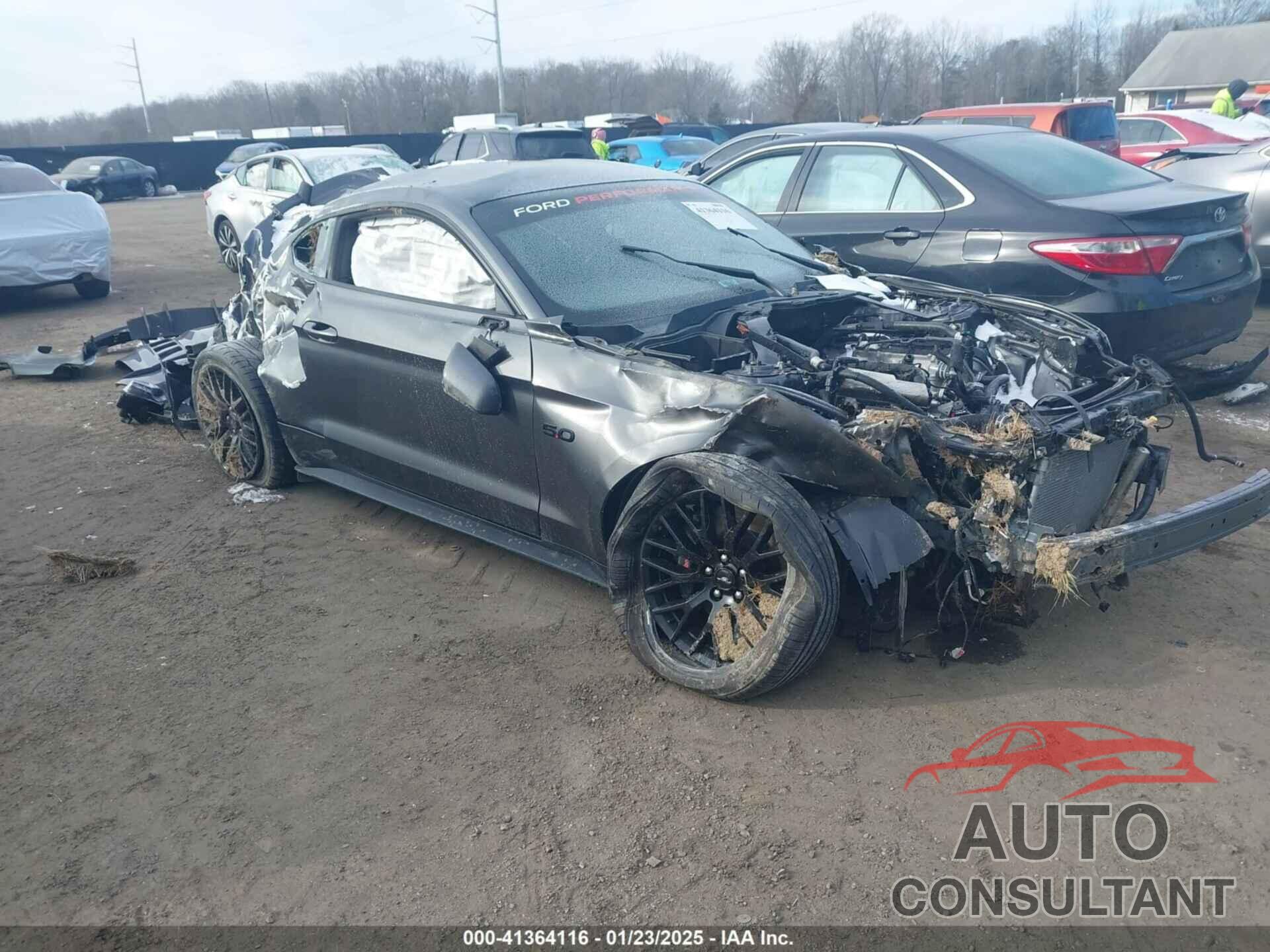 FORD MUSTANG 2019 - 1FA6P8CF1K5133253
