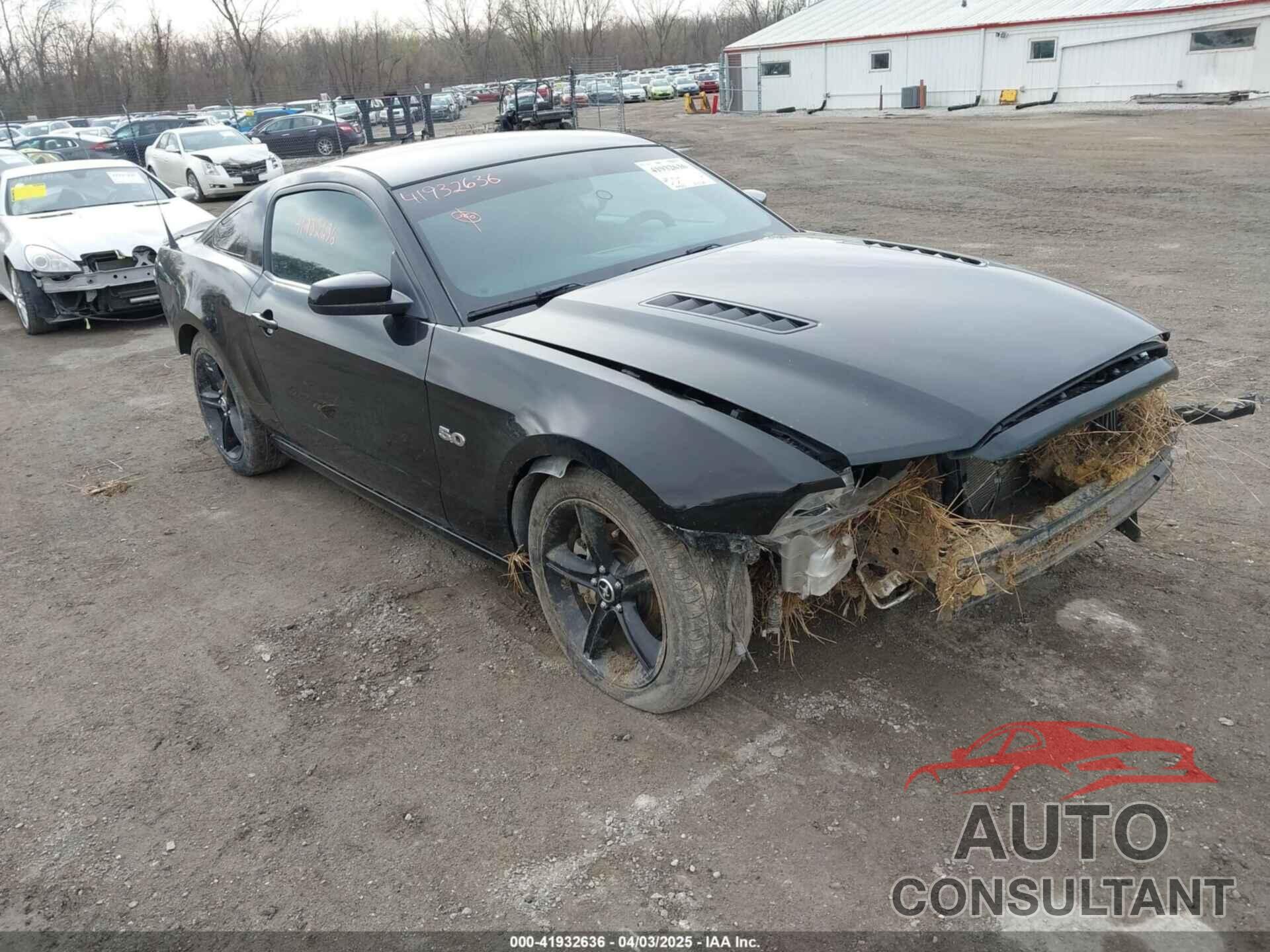 FORD MUSTANG 2014 - 1ZVBP8CF3E5283990