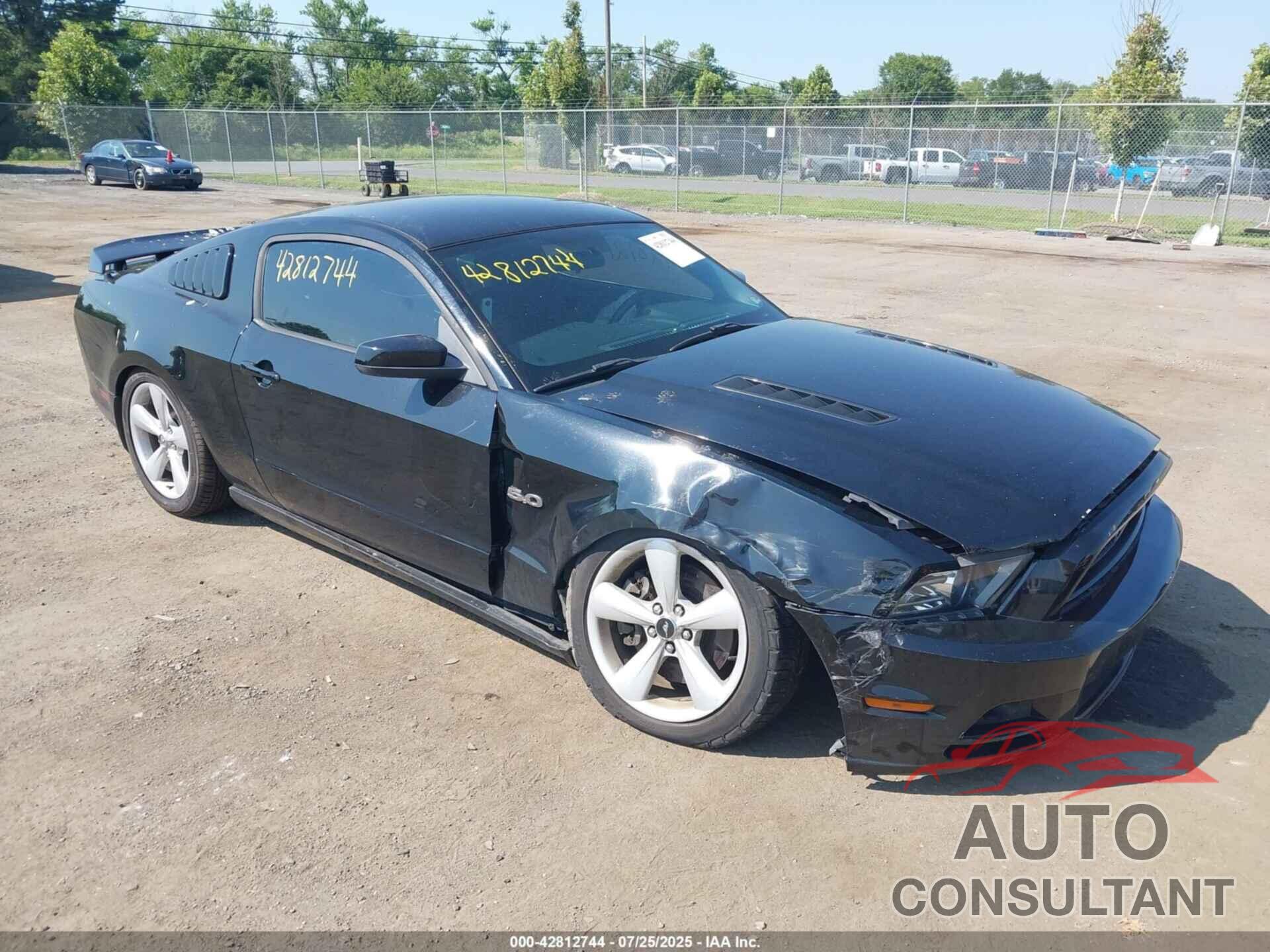 FORD MUSTANG 2013 - 1ZVBP8CF1D5231286