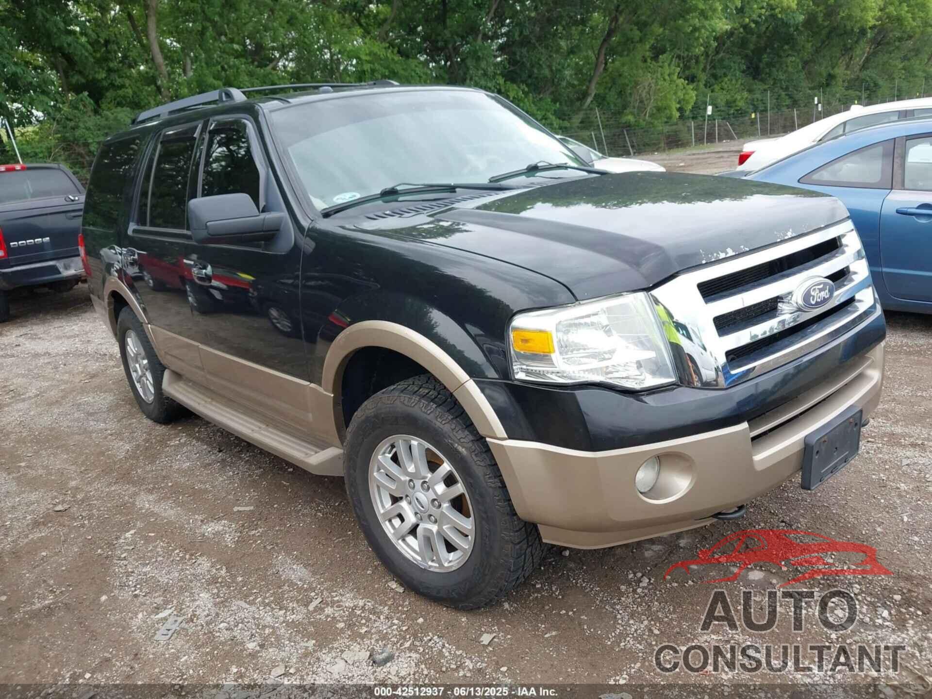 FORD EXPEDITION 2013 - 1FMJU1J54DEF31876