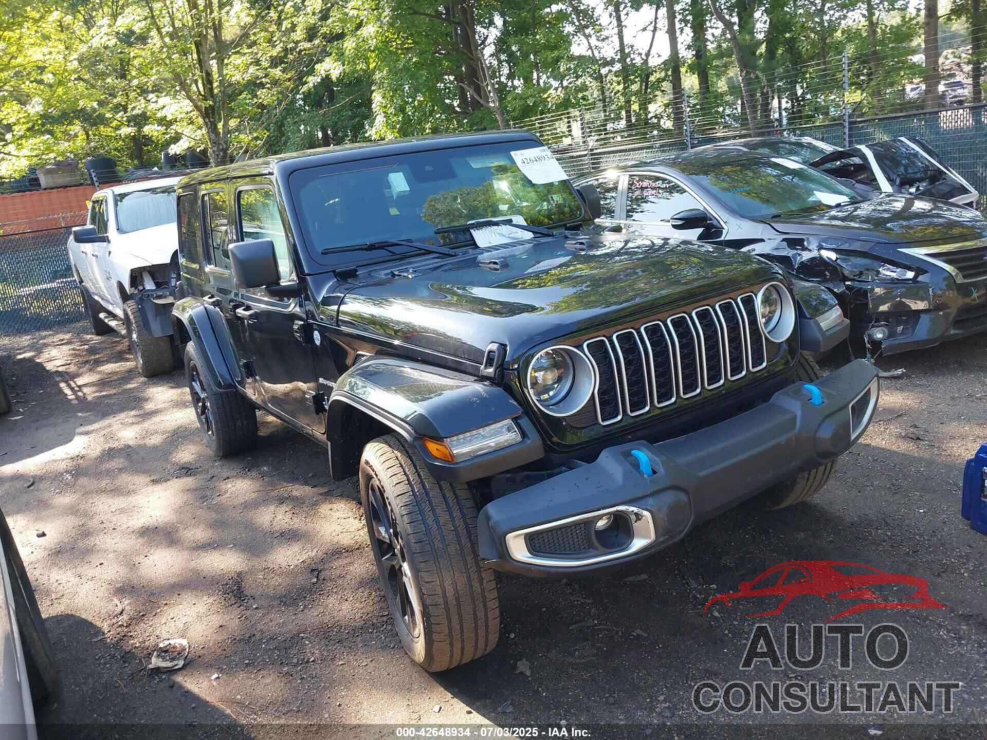JEEP WRANGLER 2024 - 1C4RJXP68RW306655