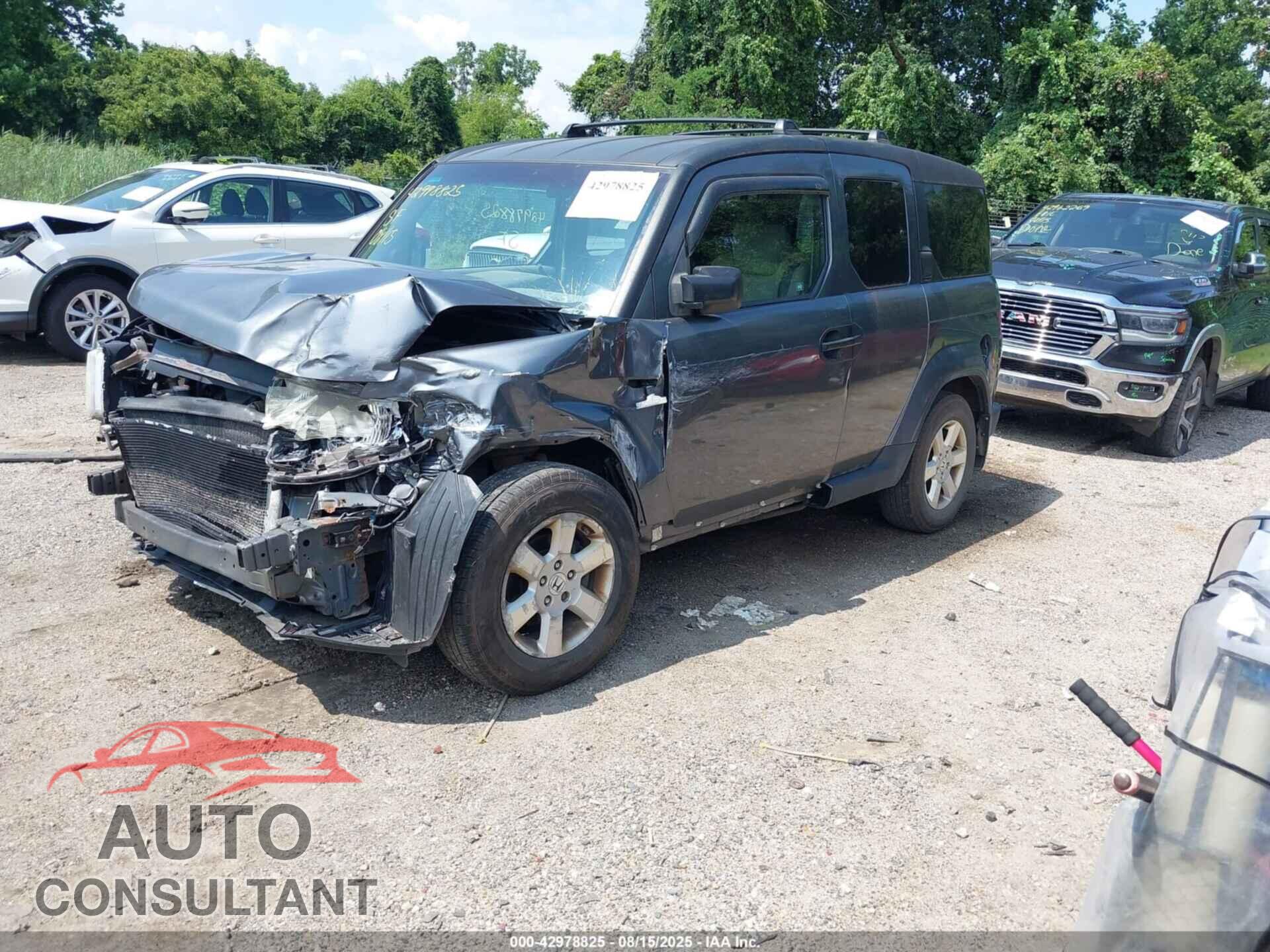 HONDA ELEMENT 2010 - 5J6YH2H71AL006876