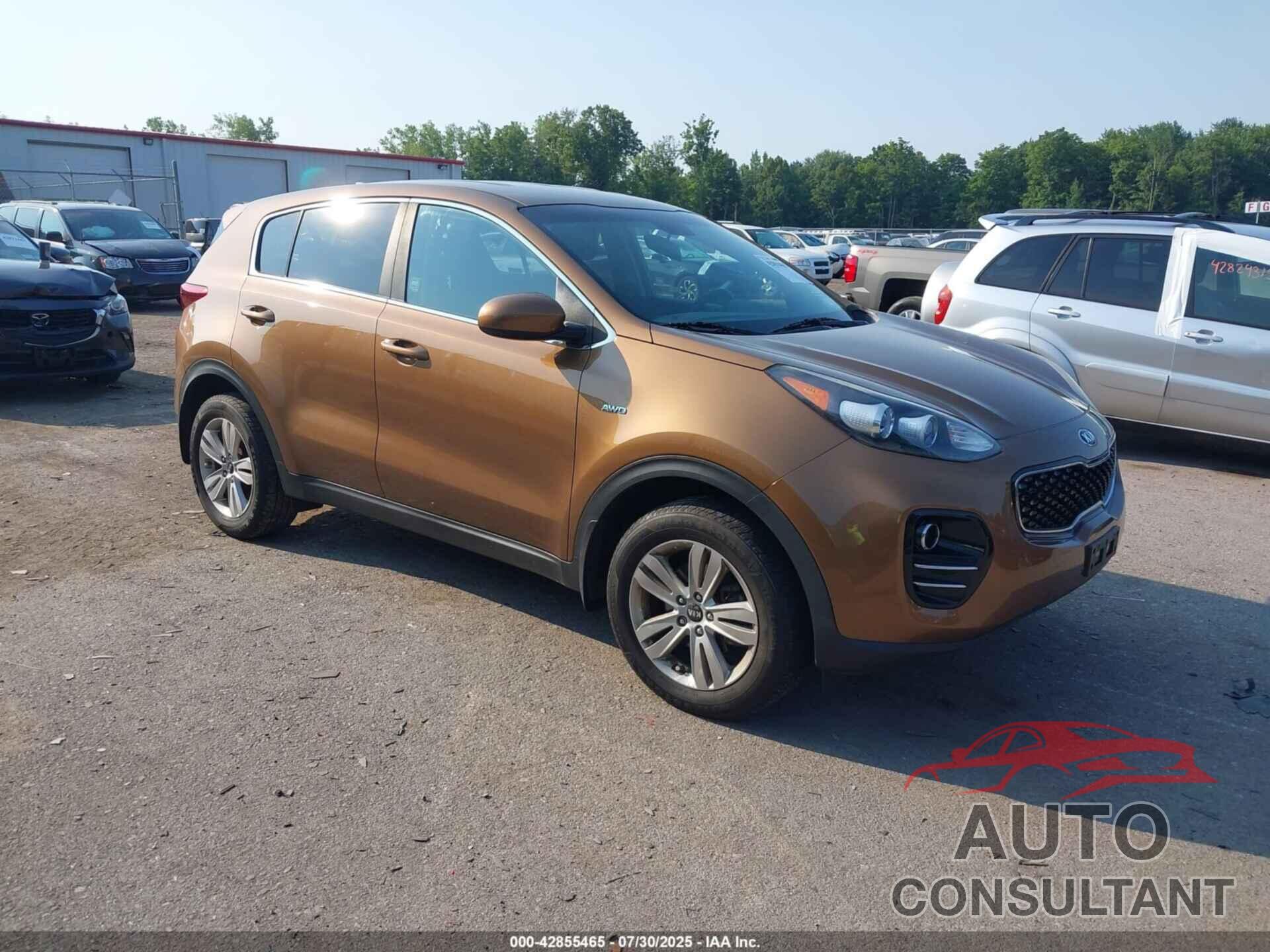 KIA SPORTAGE 2017 - KNDPMCAC9H7203291