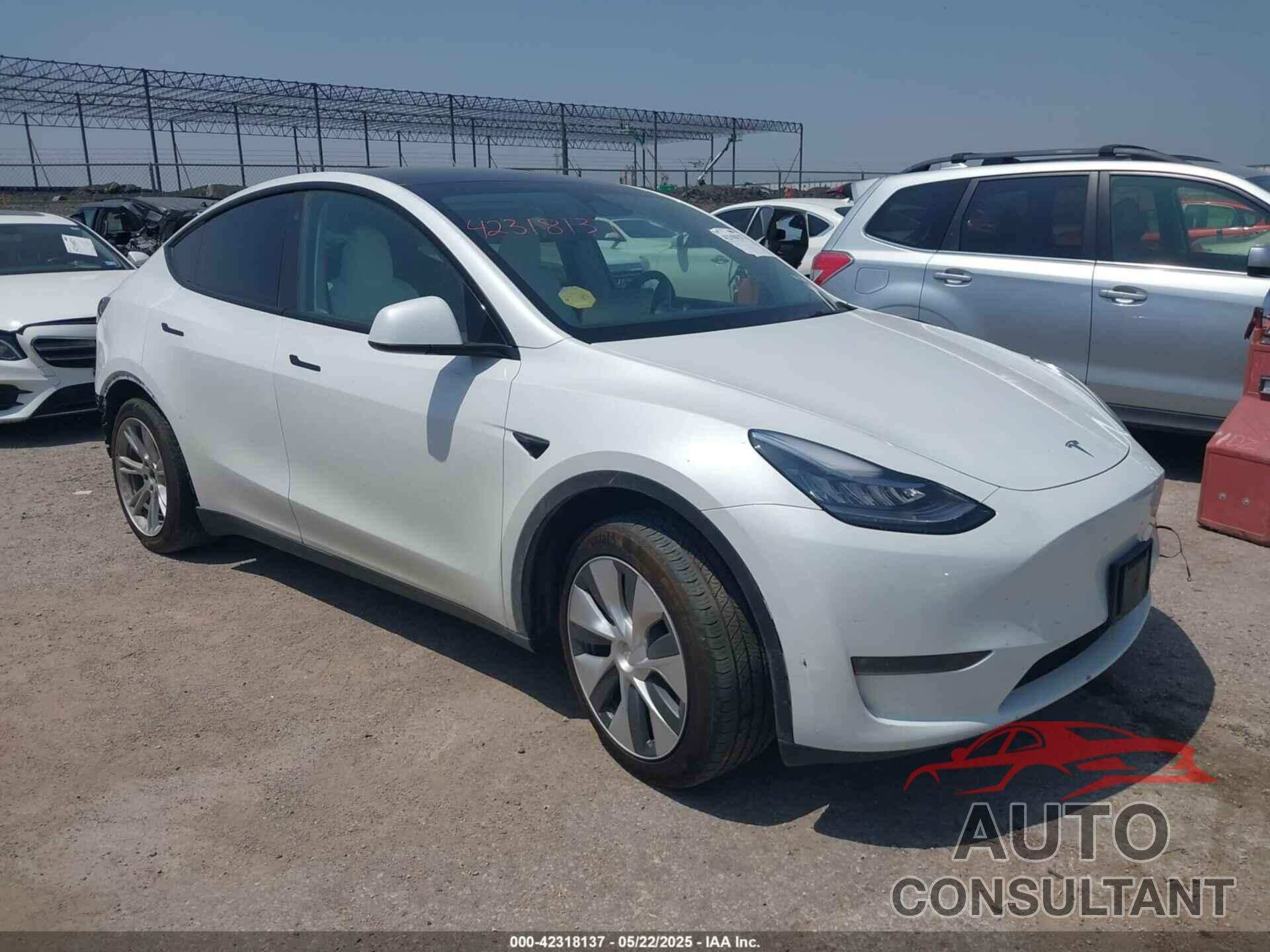 TESLA MODEL Y 2023 - 7SAYGDEE8PA094957