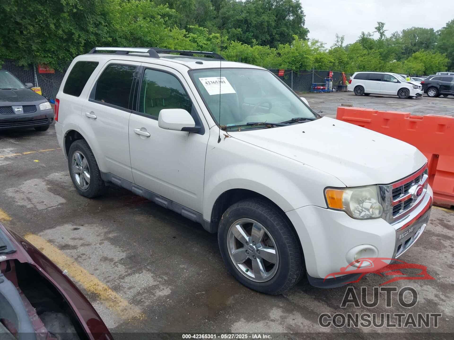 FORD ESCAPE 2010 - 1FMCU0EG3AKC83440