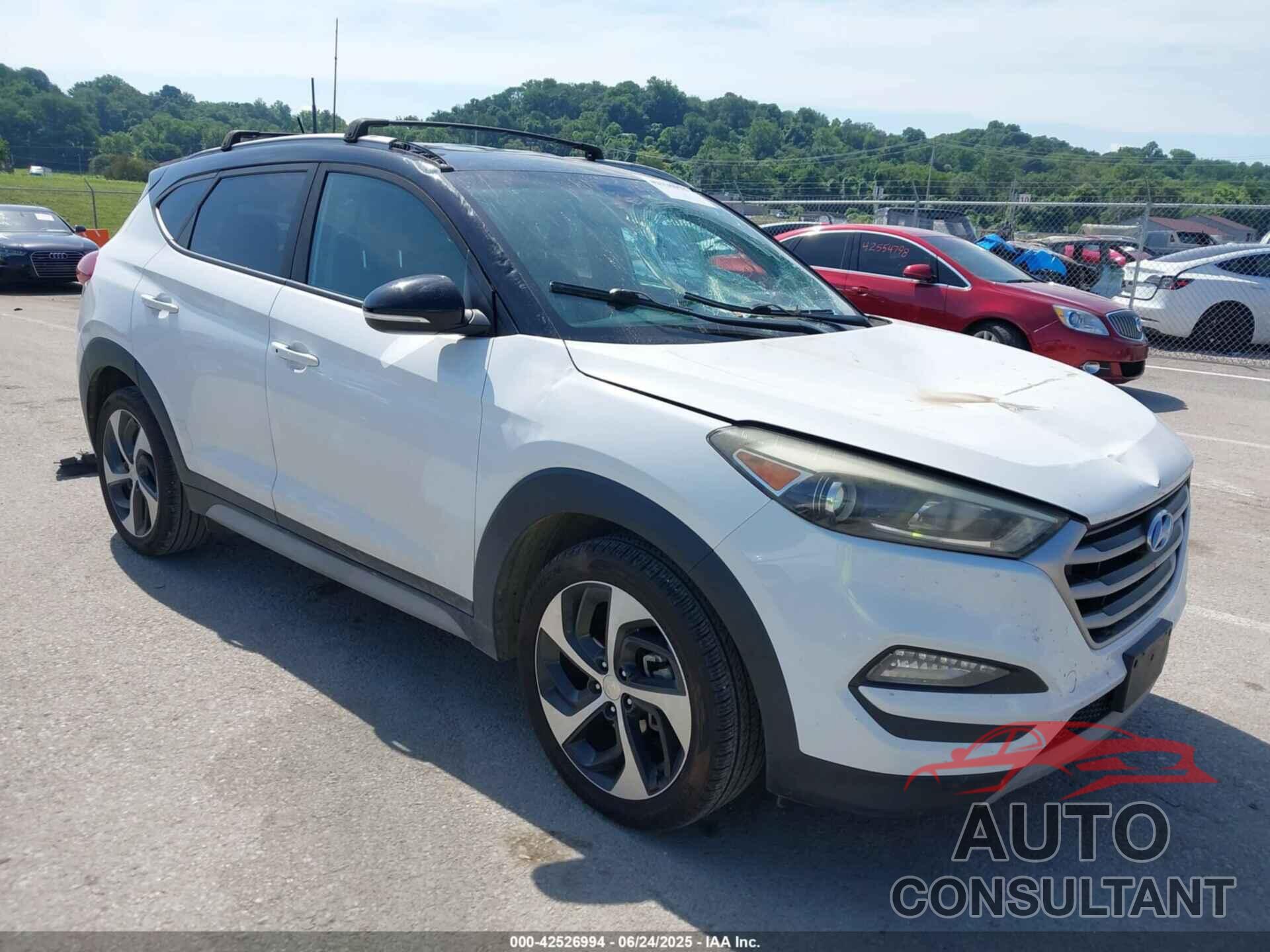 HYUNDAI TUCSON 2017 - KM8J33A29HU424354