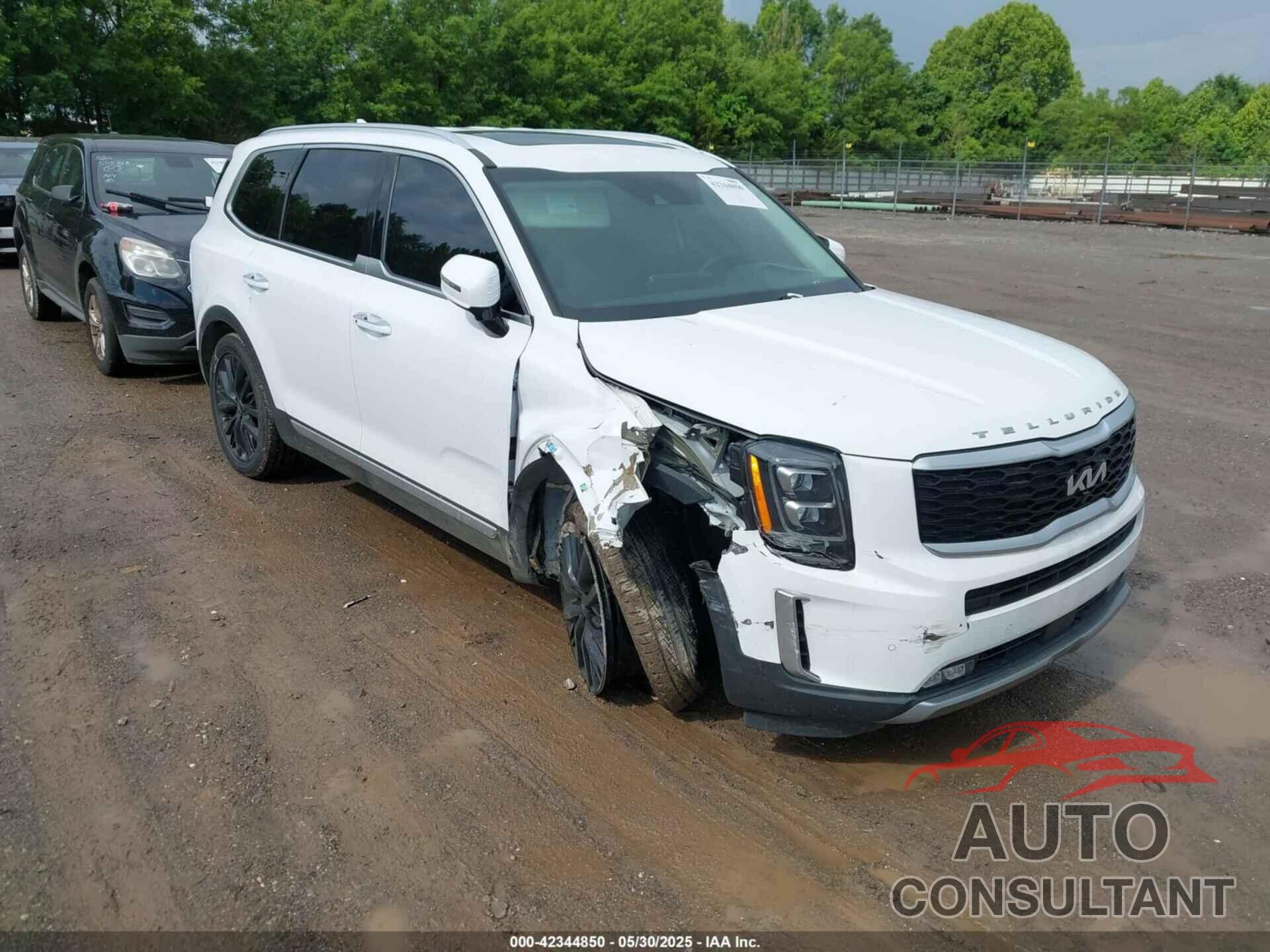 KIA TELLURIDE 2022 - 5XYP54HC5NG256920
