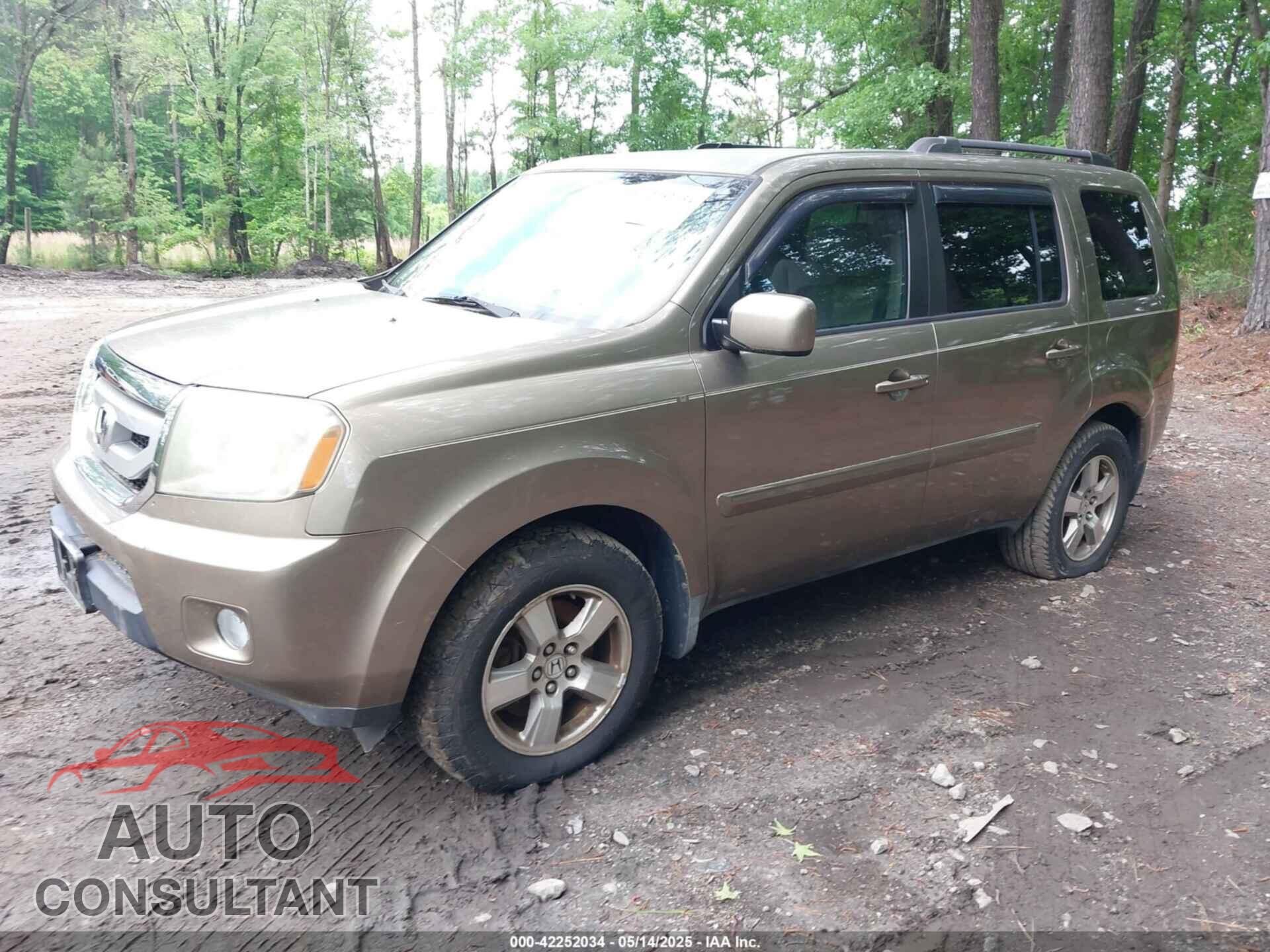 HONDA PILOT 2009 - 5FNYF48409B041002
