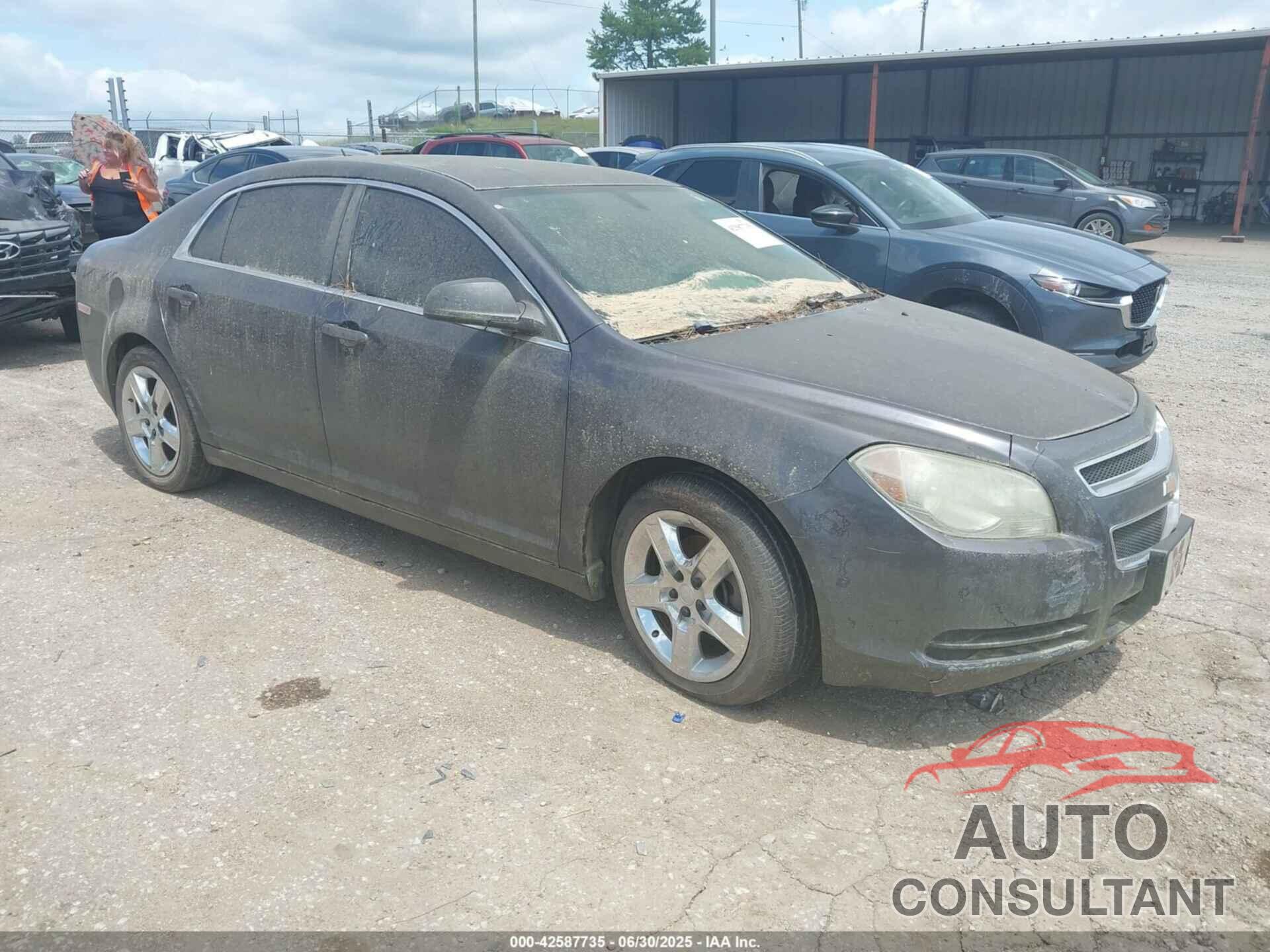CHEVROLET MALIBU 2011 - 1G1ZB5E17BF187620