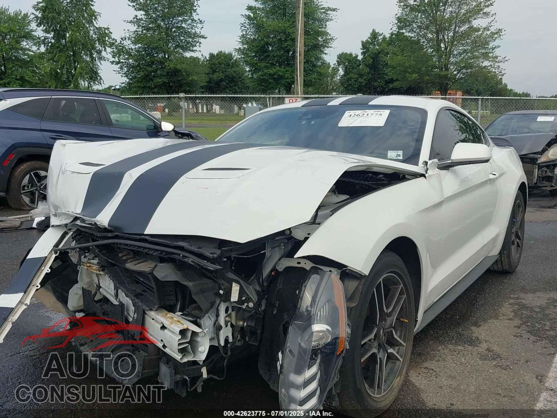 FORD MUSTANG 2021 - 1FA6P8TH7M5155309