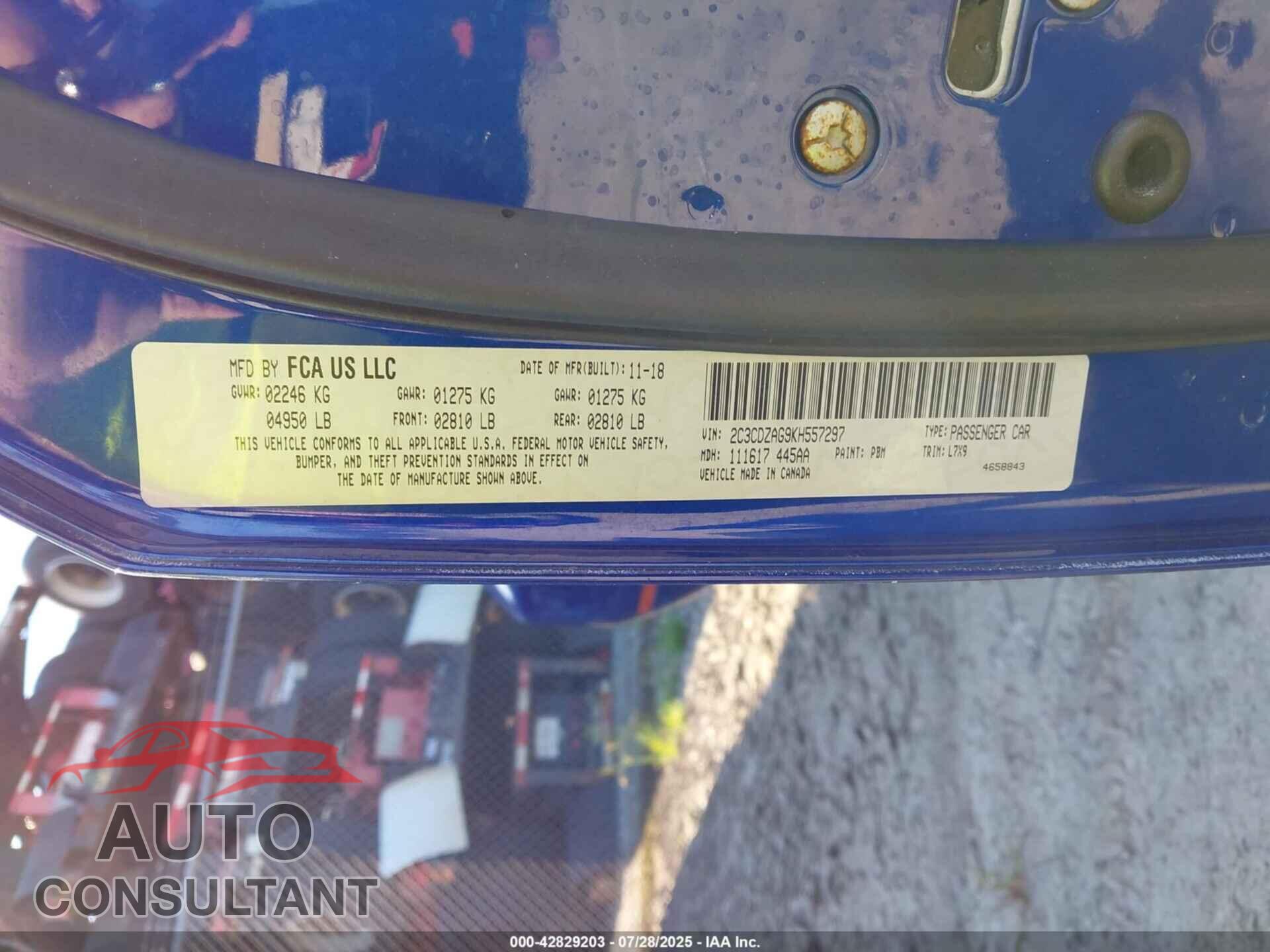 DODGE CHALLENGER 2019 - 2C3CDZAG9KH557297
