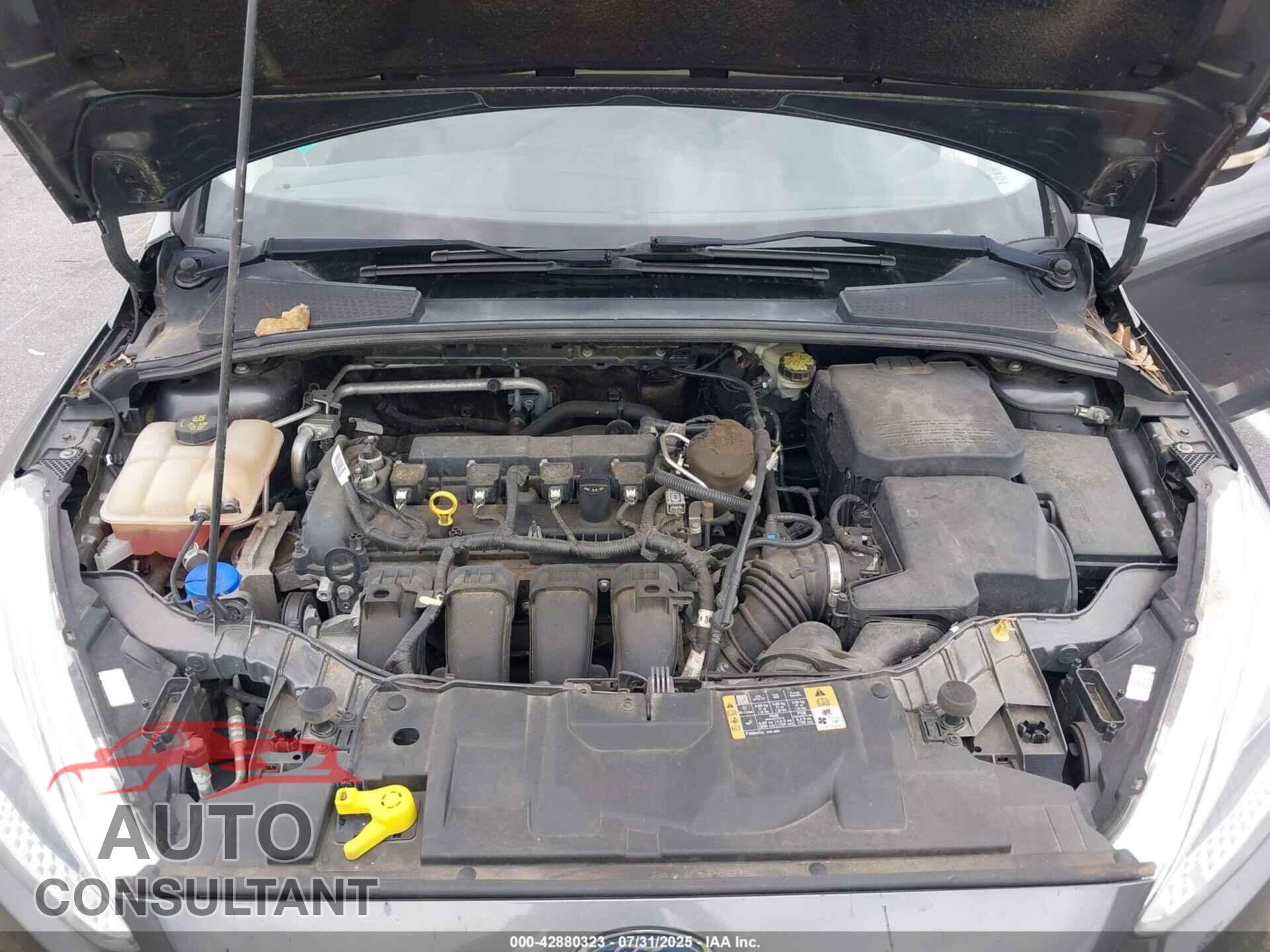 FORD FOCUS 2015 - 1FADP3F20FL362611
