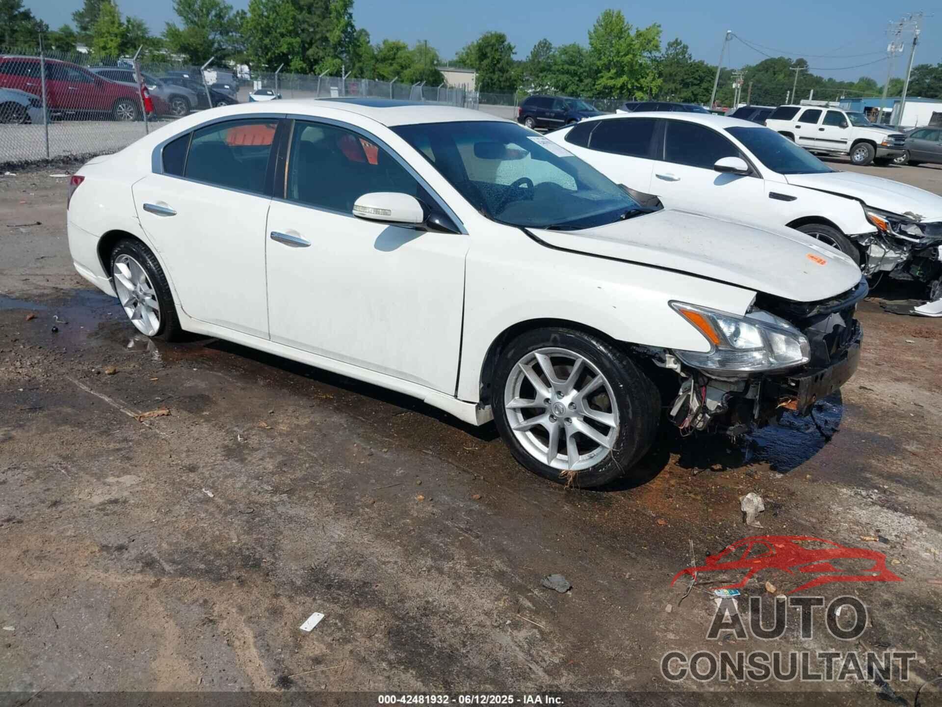 NISSAN MAXIMA 2009 - 1N4AA51E99C851935