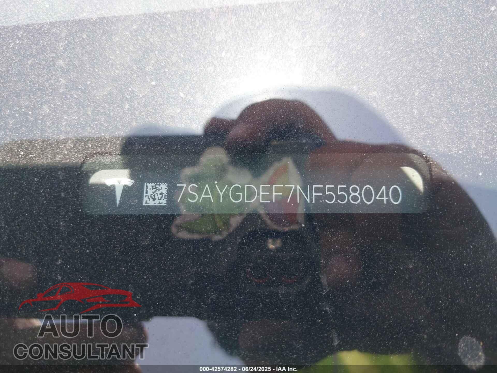 TESLA MODEL Y 2022 - 7SAYGDEF7NF558040